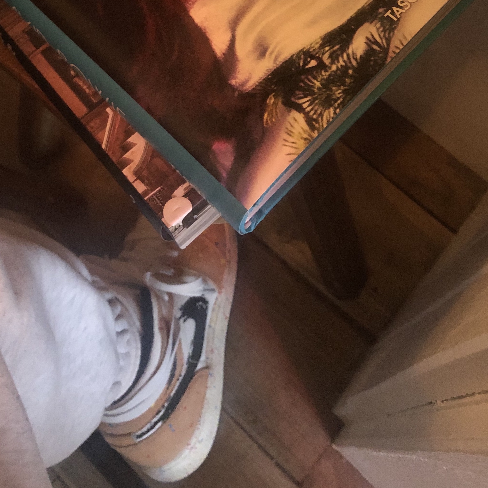 Jordan 1 Mid SE Brushstroke 착용 스타일