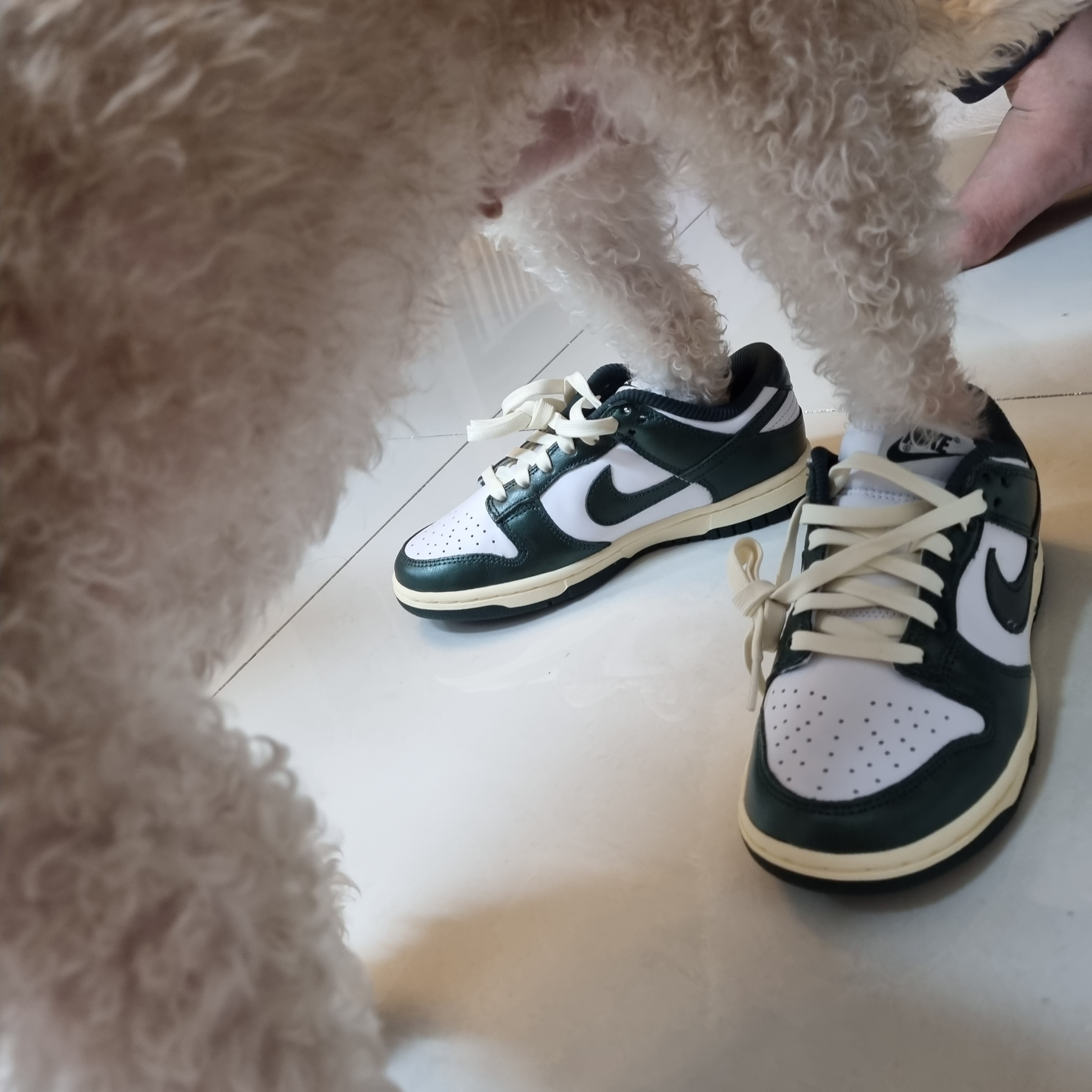(W) Nike Dunk Low Vintage Green 착용 스타일 - 2