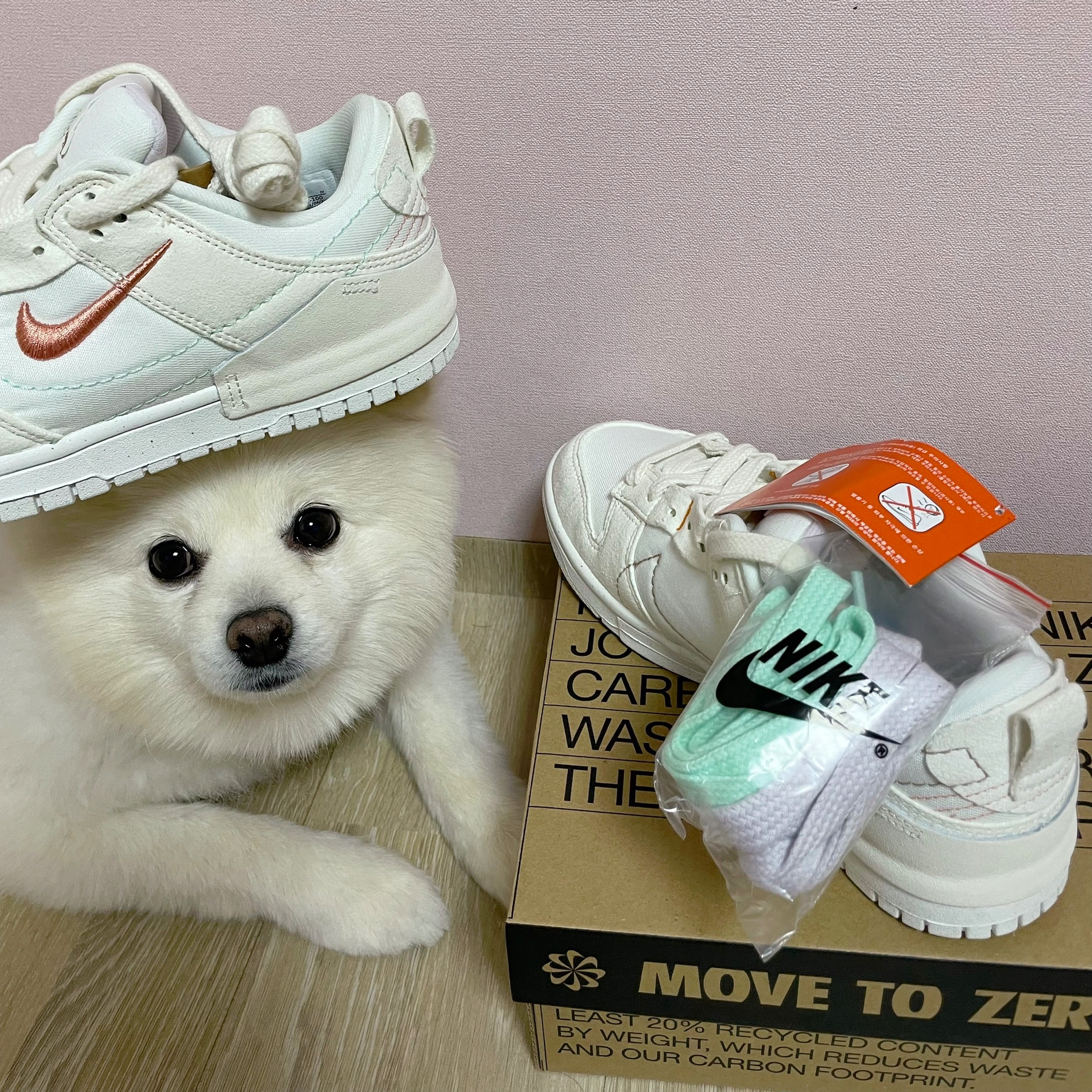 (W) Nike Dunk Low Disrupt 2 Pale Ivory Sail 착용 스타일 - 1