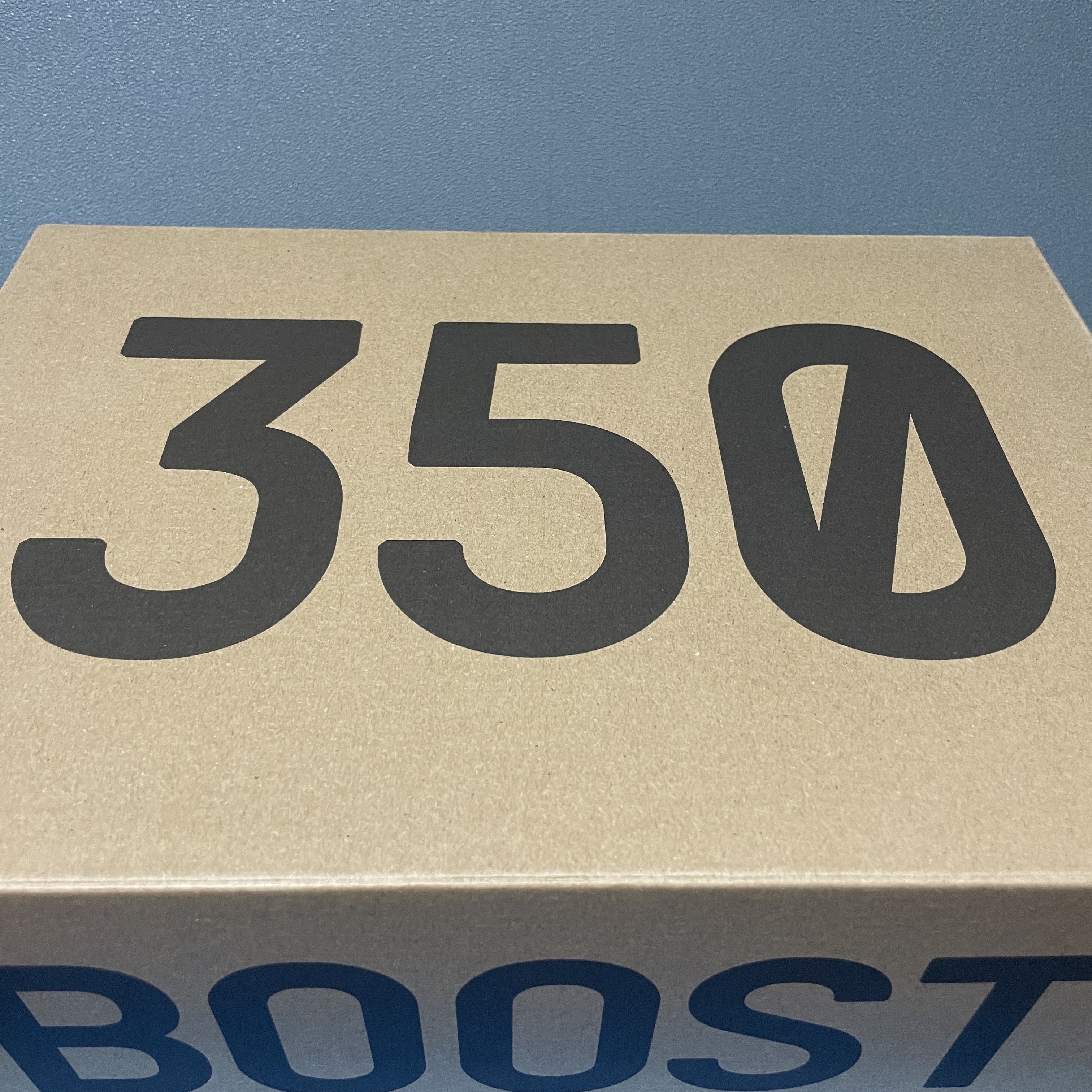 Adidas Yeezy Boost 350 V2 Beluga - Reflective 착용 스타일 - 1