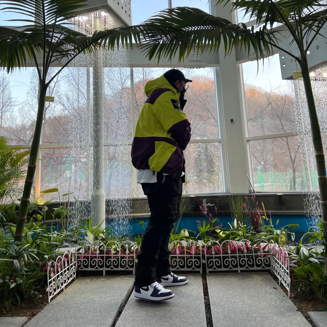 Supreme x The North Face Expedition Jacket Sulphur - 18FW, Jordan 1 Retro High OG Court Purple 2020 착용 스타일