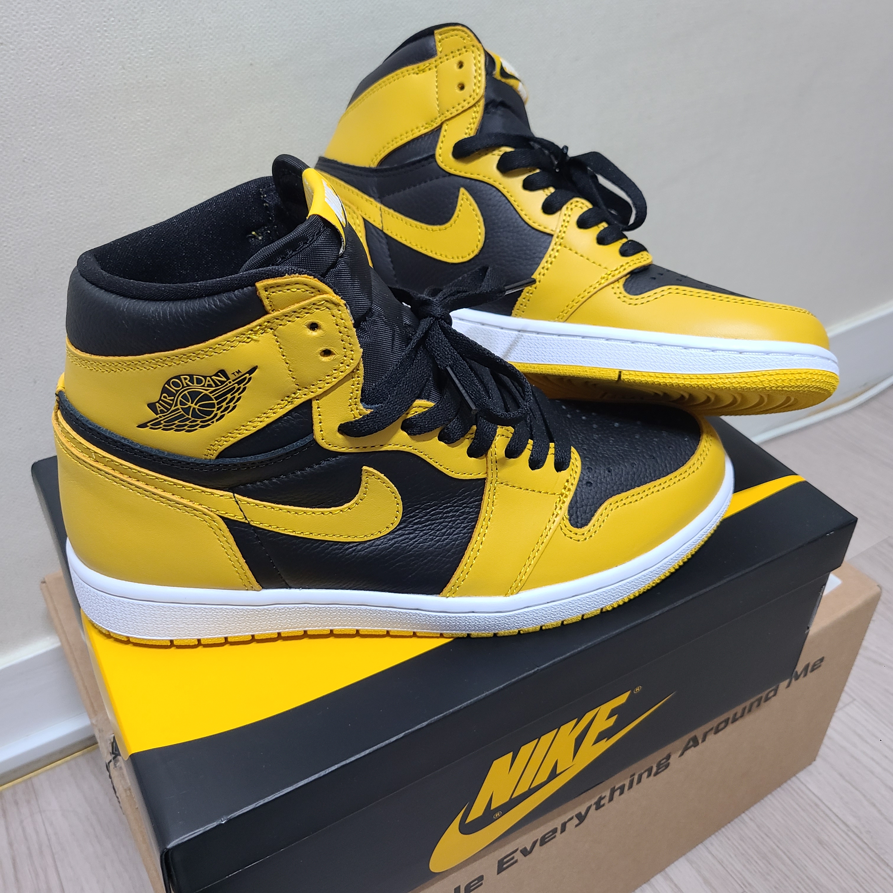 Jordan 1 Retro High OG Pollen 착용 스타일