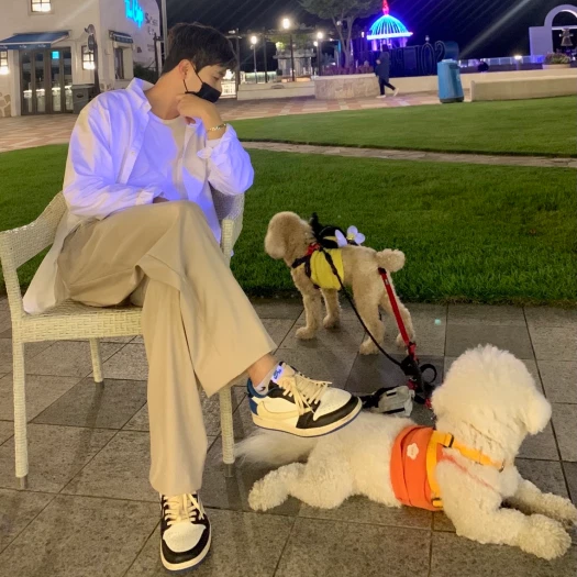 스타일 카드