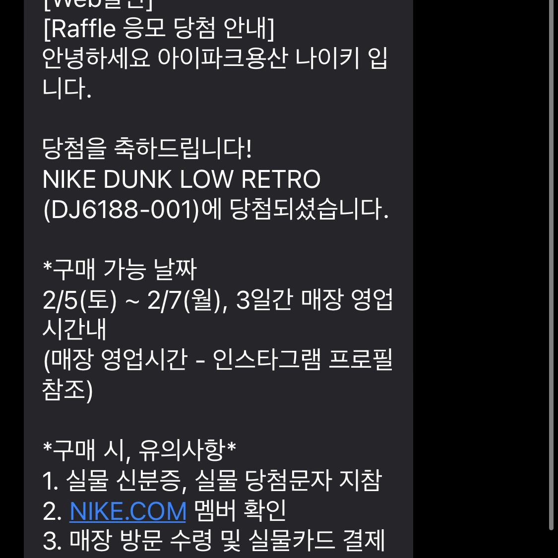 Nike Dunk Low Retro Wolf Grey 착용 스타일 - 2