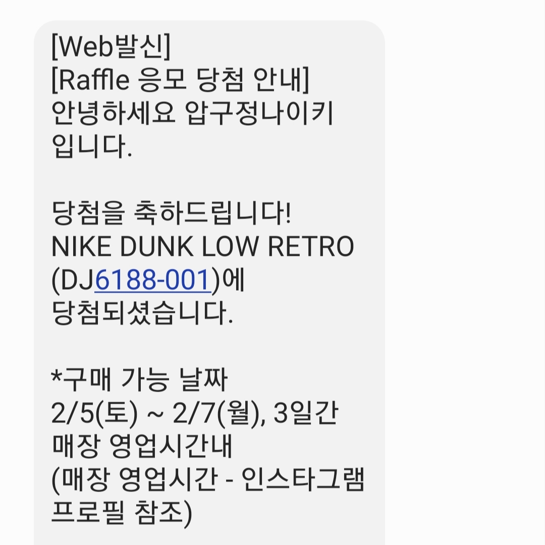 Nike Dunk Low Retro Wolf Grey 착용 스타일 - 2