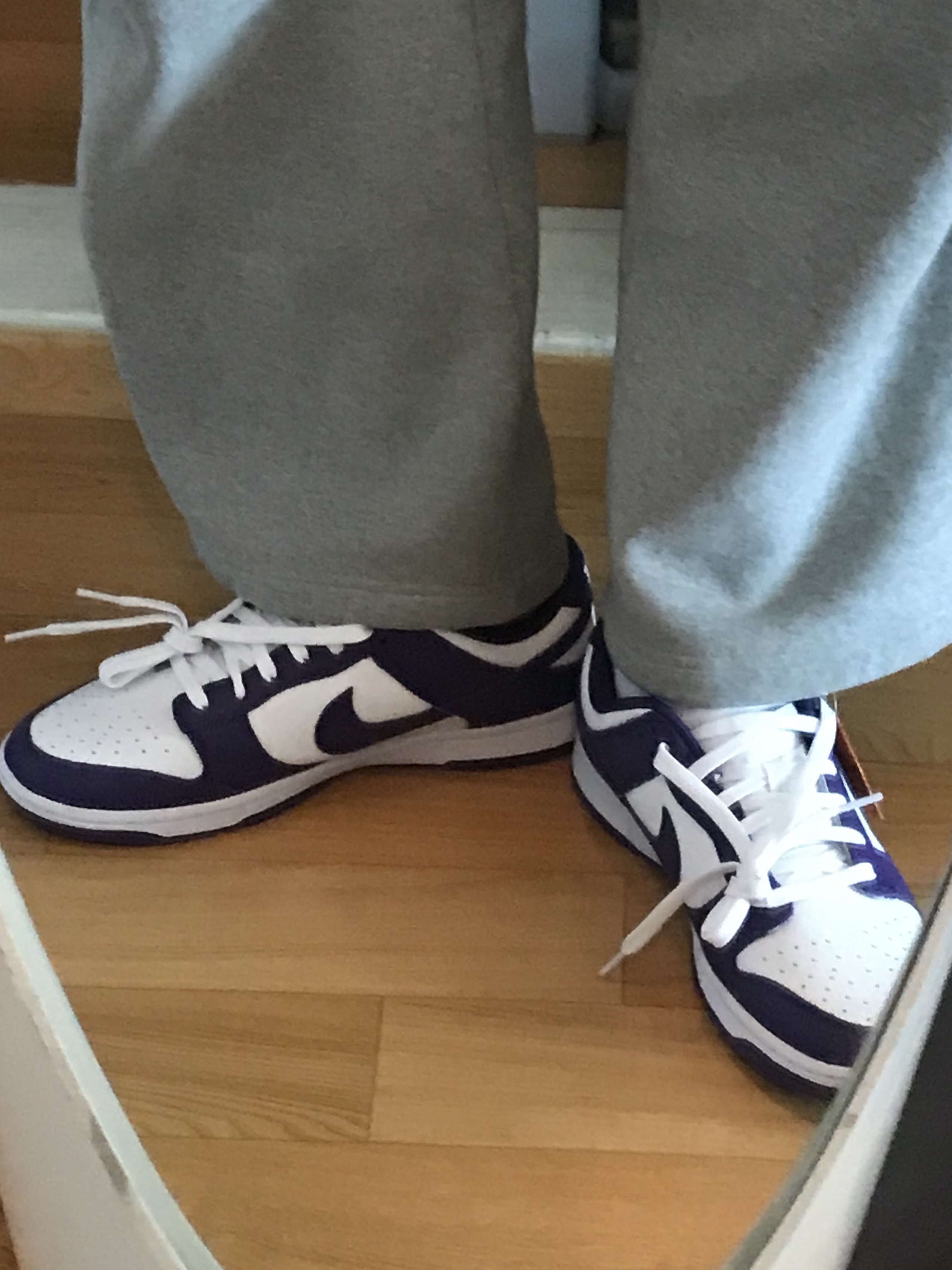 Nike Dunk Low Retro Championship Court Purple 착용 스타일 - 1