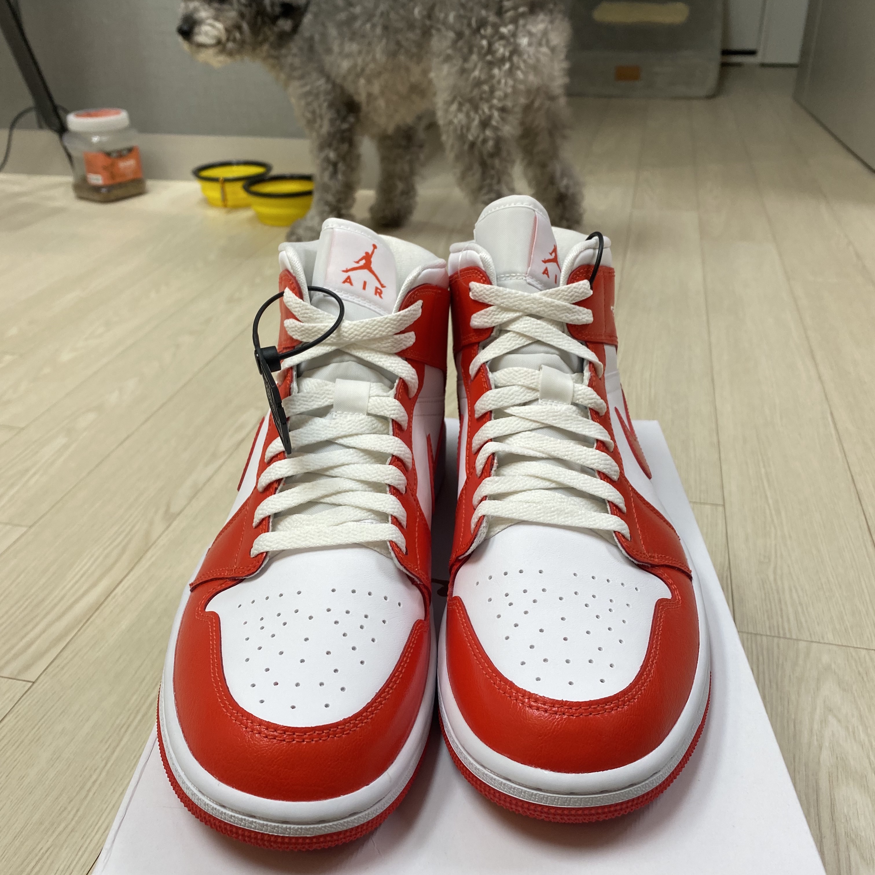 (W) Jordan 1 Mid Habanero Red 착용 스타일 - 1