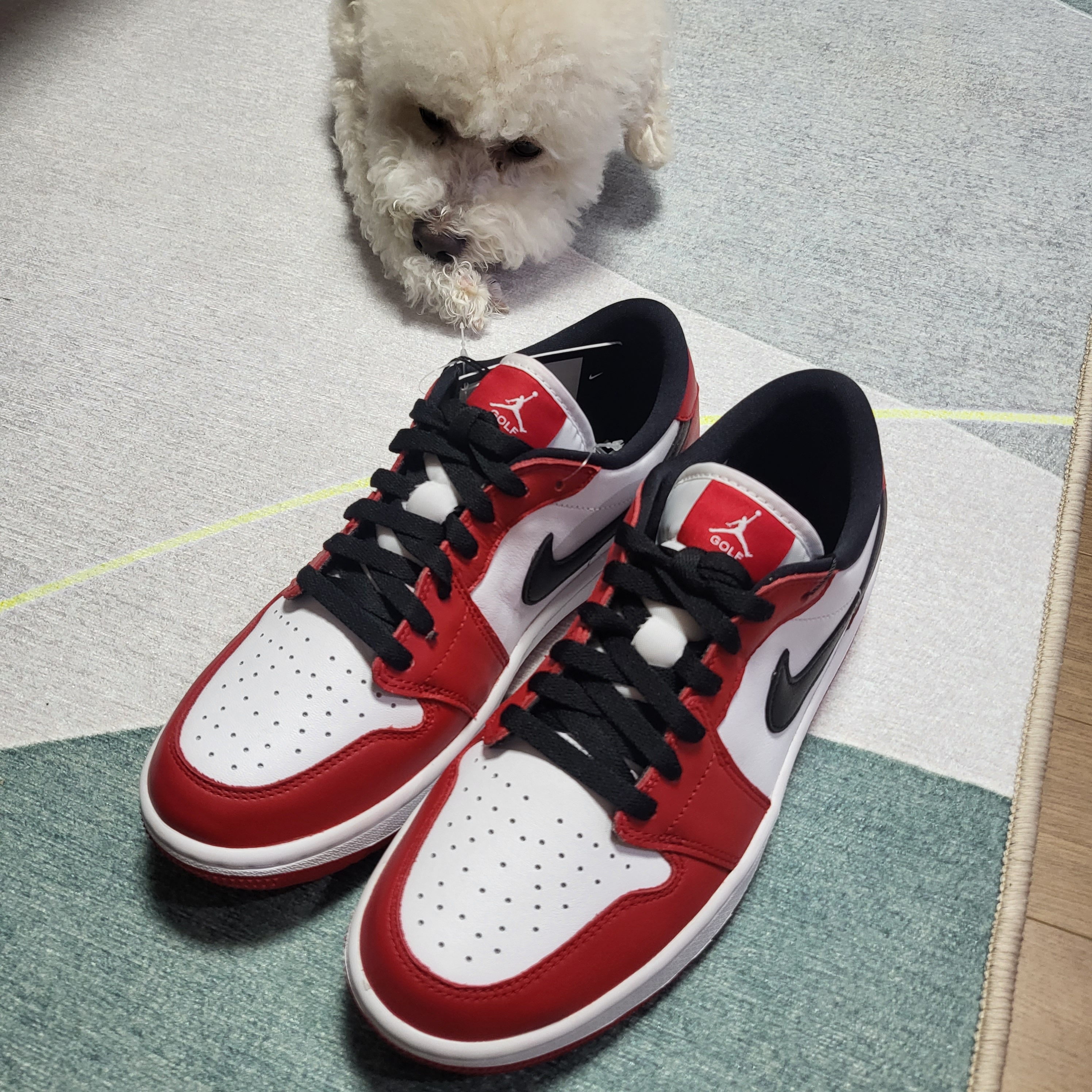 Jordan 1 Low Golf Chicago 착용 스타일 - 5