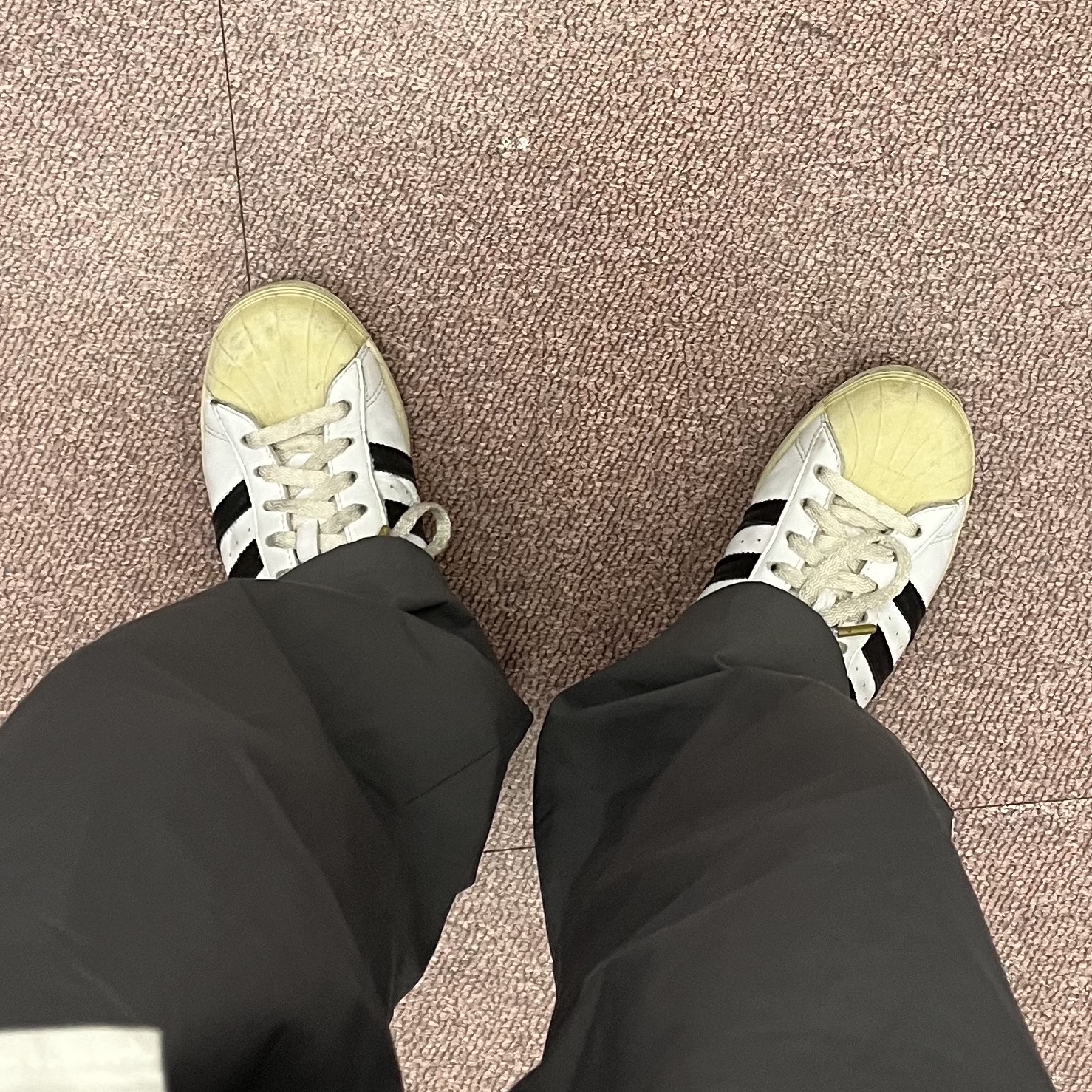 Adidas Superstar Premium White Black 착용 스타일