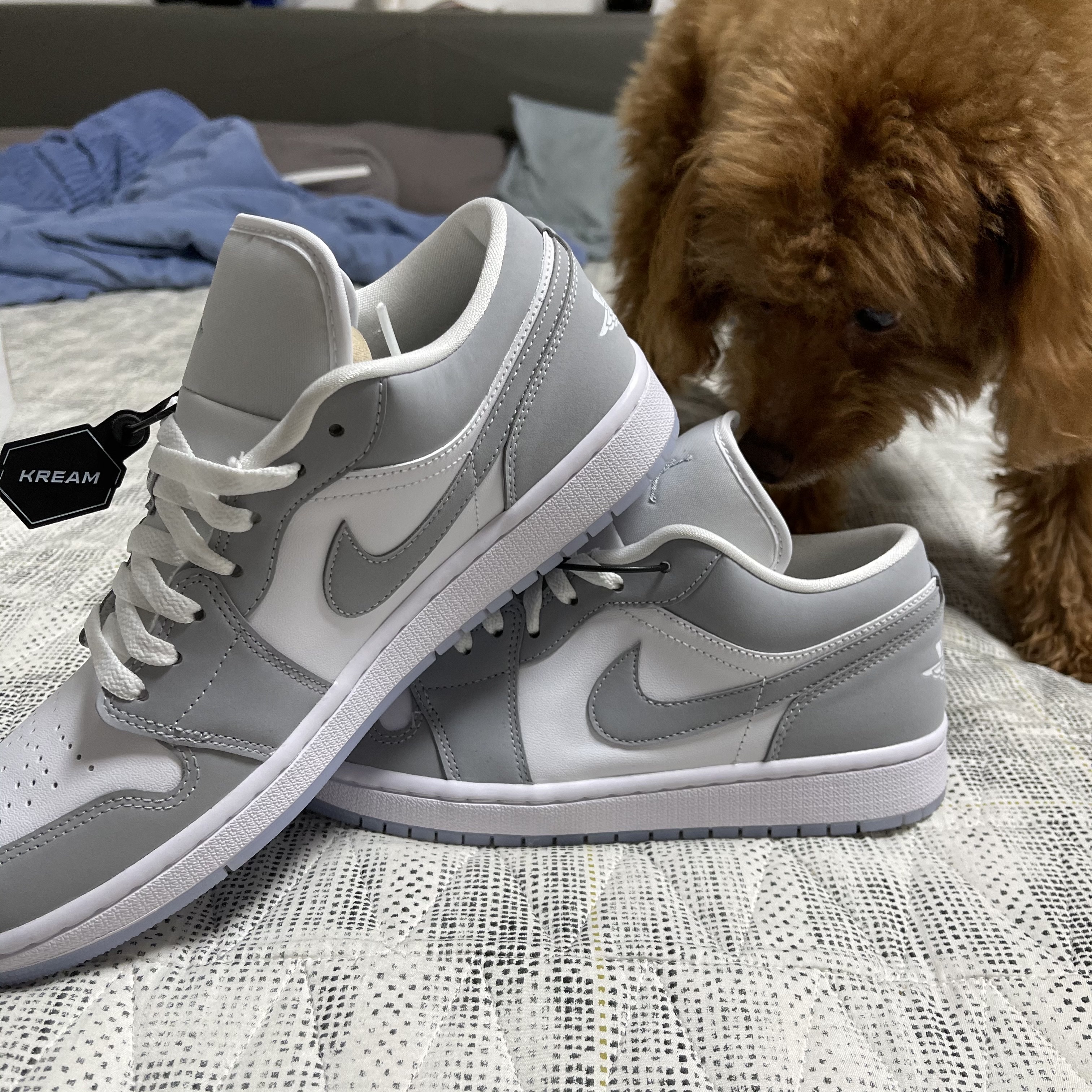 (W) Jordan 1 Low White Wolf Grey 착용 스타일 - 3