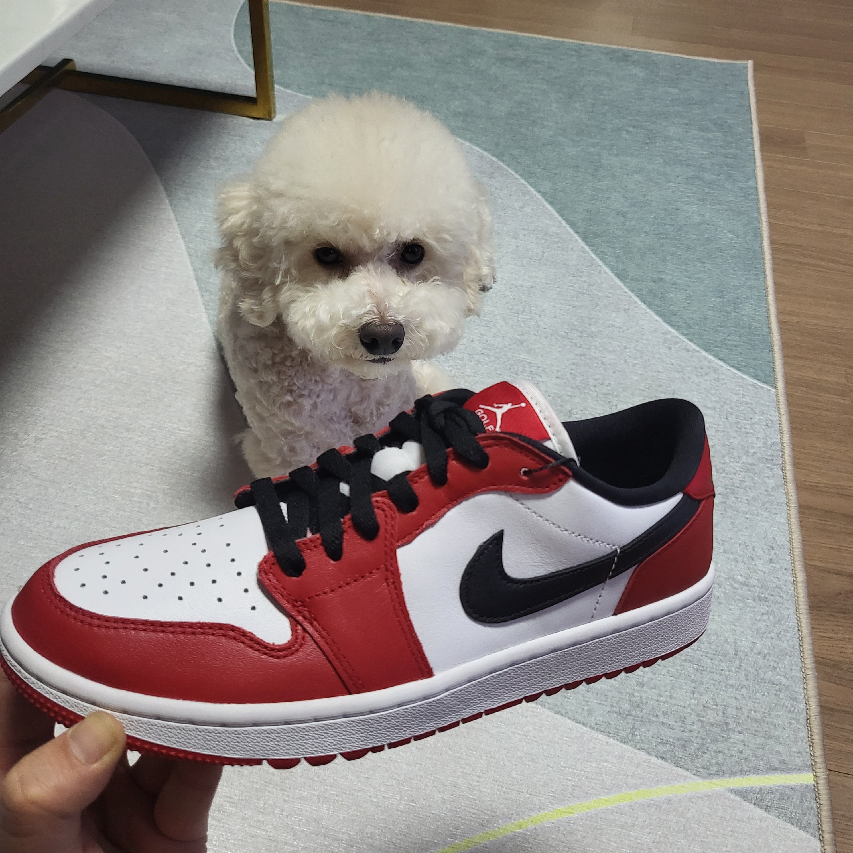 Jordan 1 Low Golf Chicago 착용 스타일 - 1