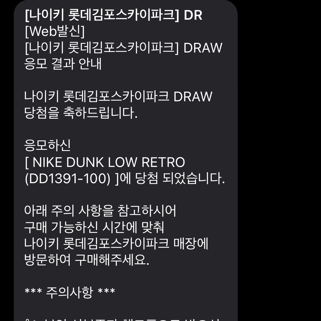 Nike Dunk Low Retro Black 착용 스타일