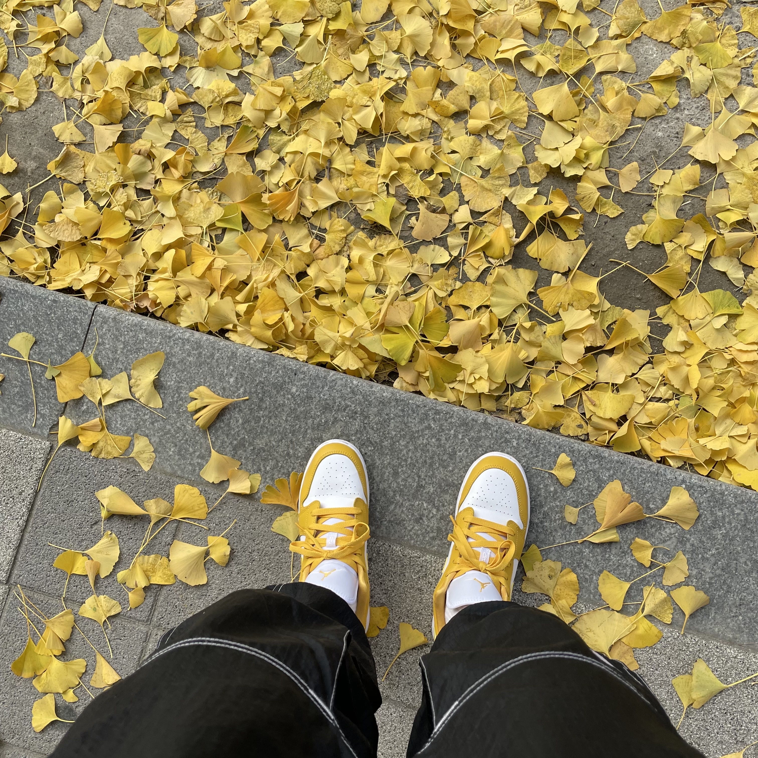 (GS) Jordan 1 Low Pollen 착용 스타일