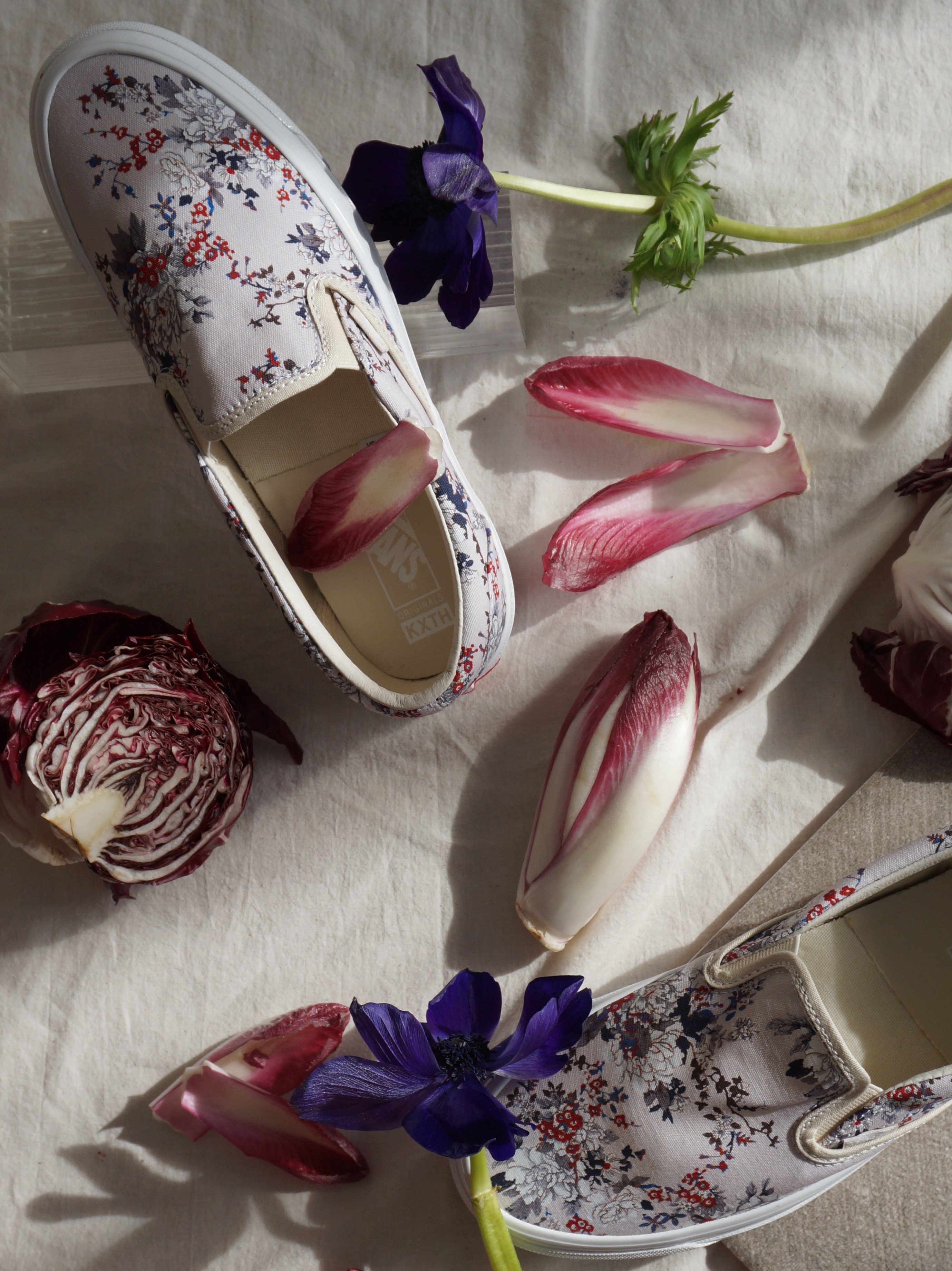 Vans Vault x Kith 10th Anniversary OG Classic Slip-On LX Floral Turtledove 착용 스타일 - 2