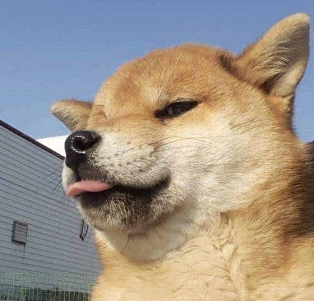 관심 유저 프로필 이미지