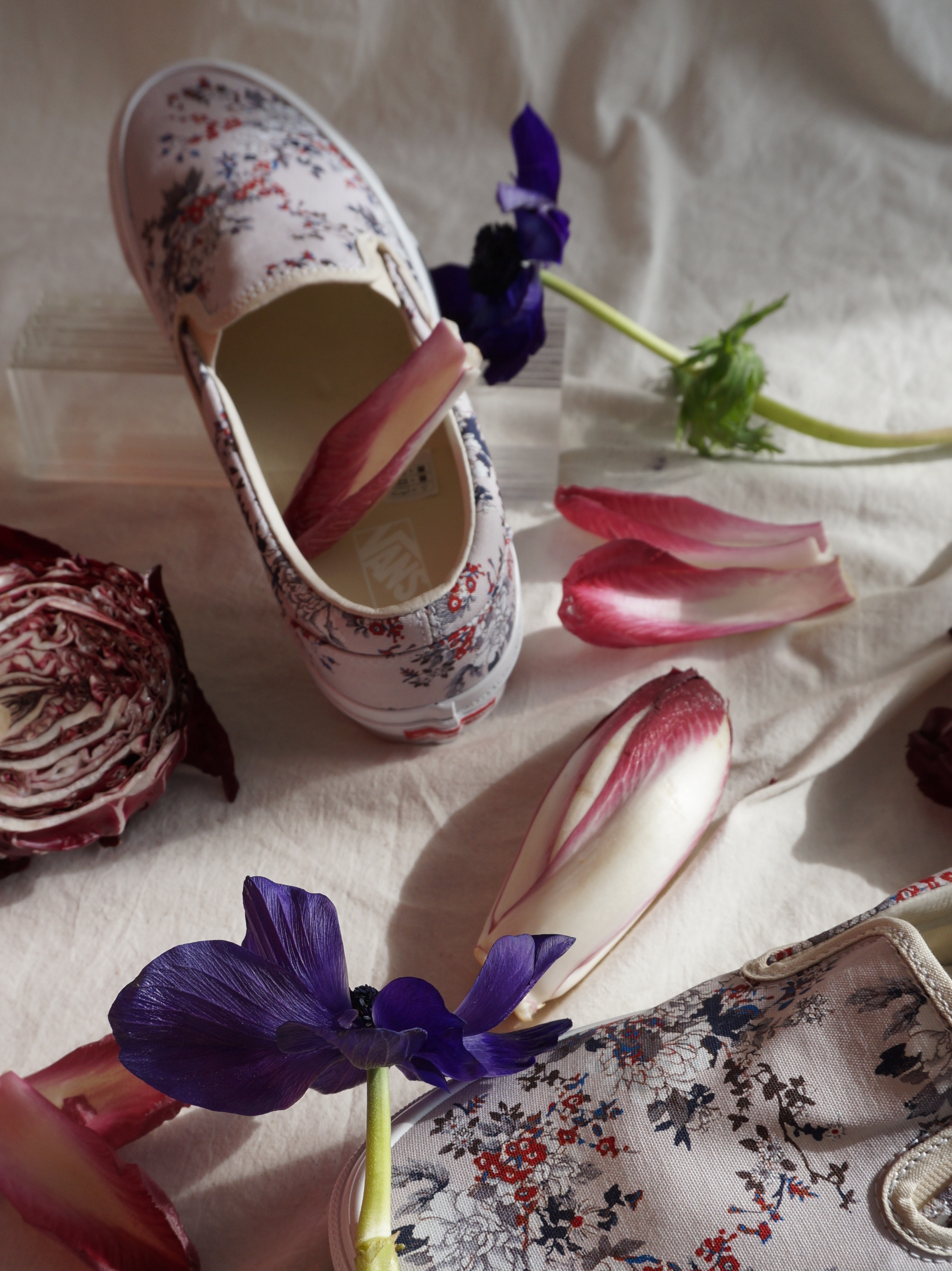 Vans Vault x Kith 10th Anniversary OG Classic Slip-On LX Floral Turtledove 착용 스타일 - 3