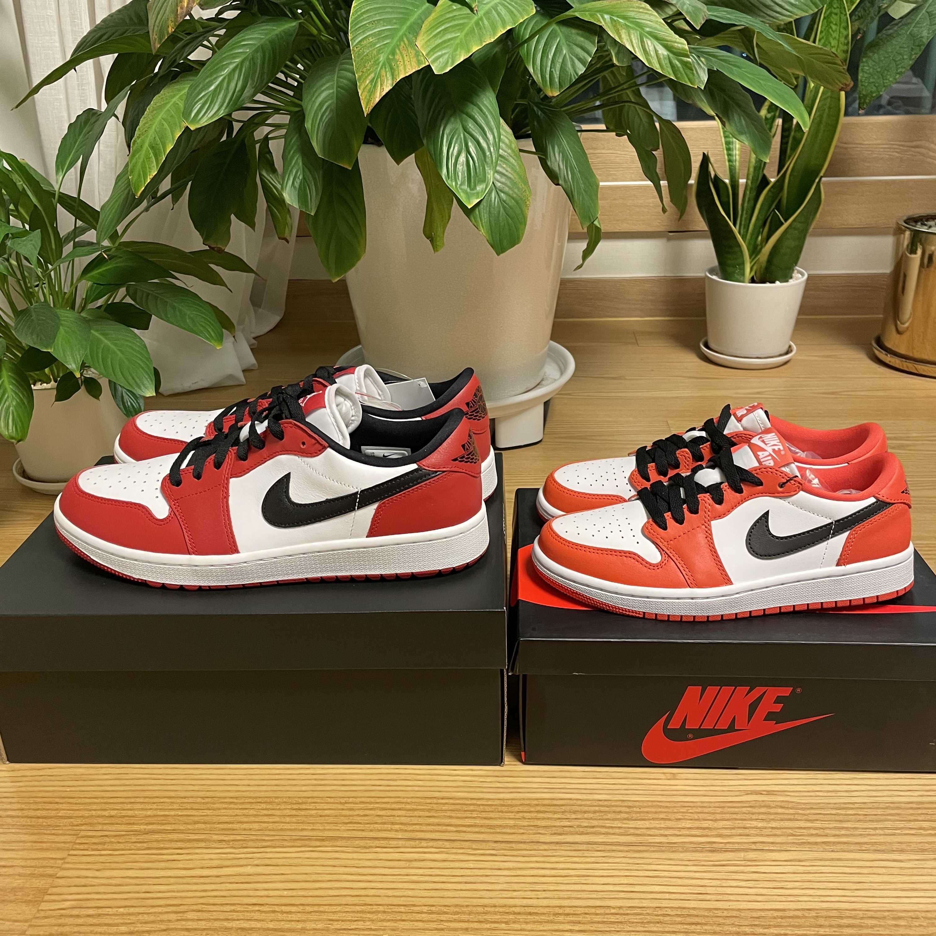 Jordan 1 Low Golf Chicago, (W) Jordan 1 Low OG Starfish 착용 스타일 - 2