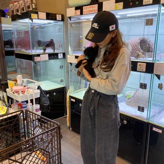 스타일 카드