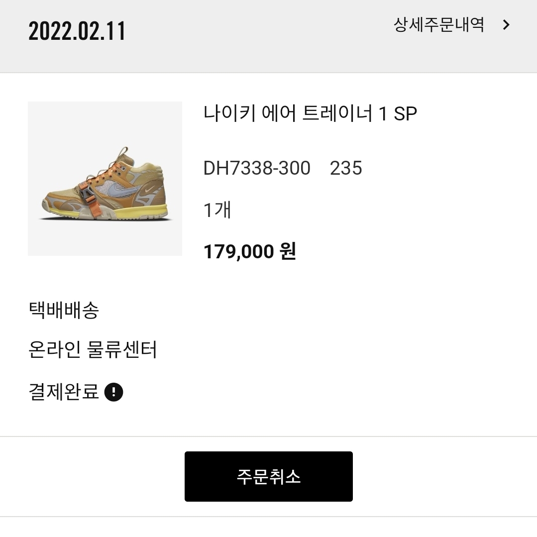 Nike Air Trainer 1 SP Coriander 착용 스타일