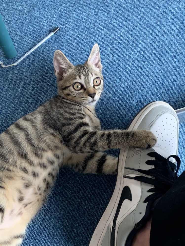 KREAM 프로필 이미지