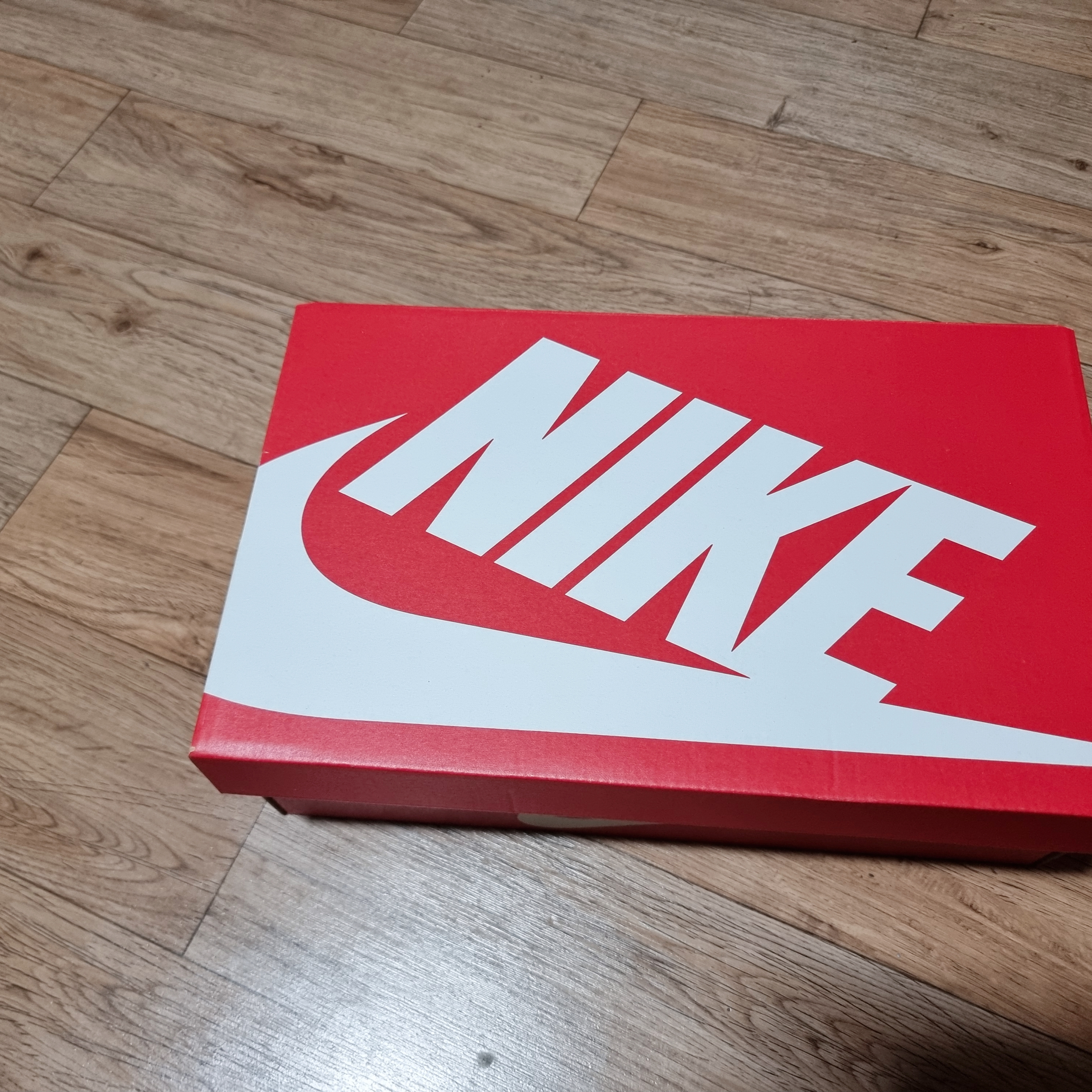 Nike Dunk Low Retro Championship Court Purple 착용 스타일 - 1