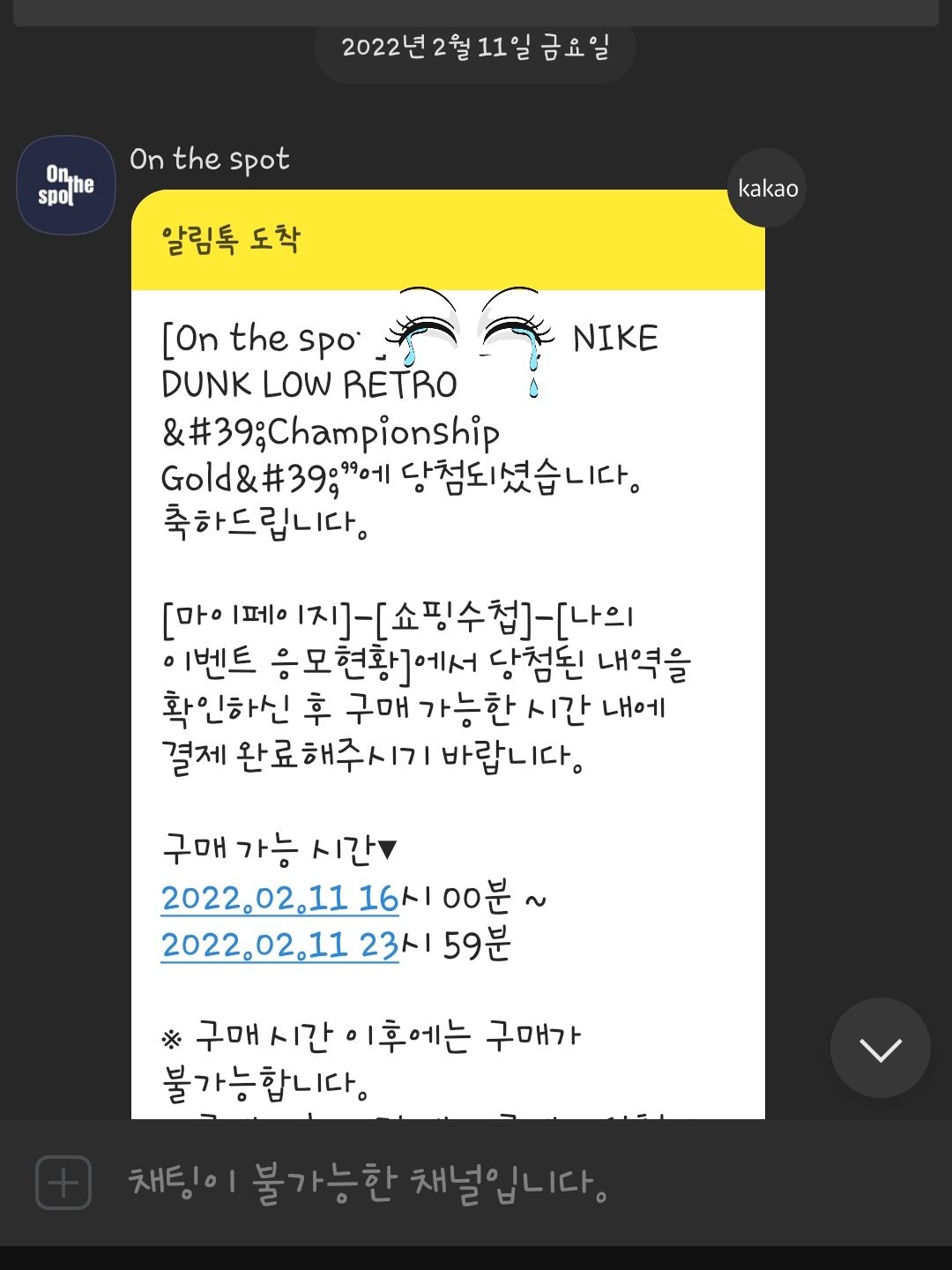 히아신스님의 스타일