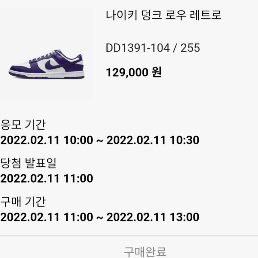 Nike Dunk Low Retro Championship Court Purple 착용 스타일