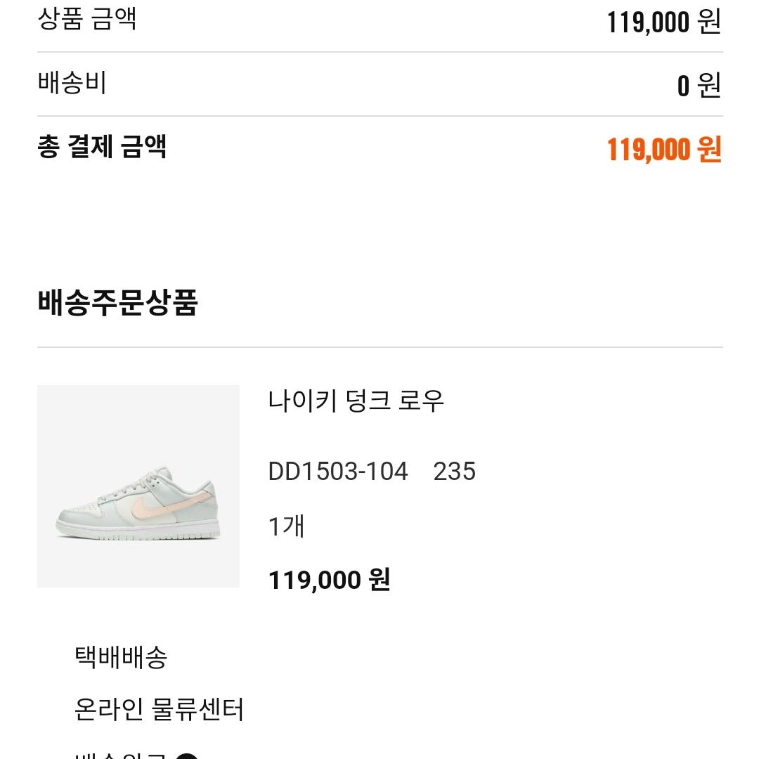(W) Nike Dunk Low Barely Green 착용 스타일