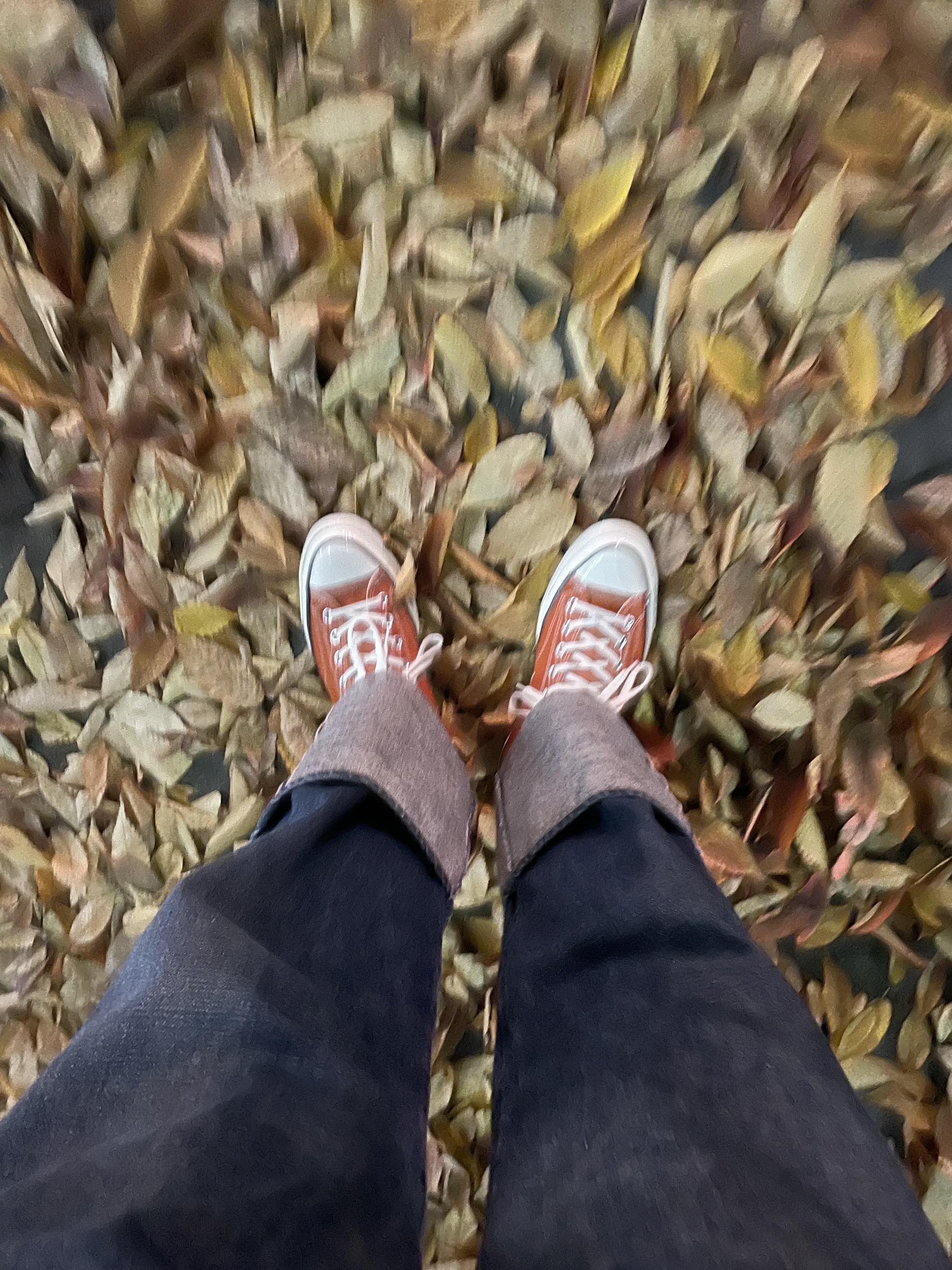 Converse Seasonal Canvas Chuck 70 High Fire Pit 착용 스타일 - 2
