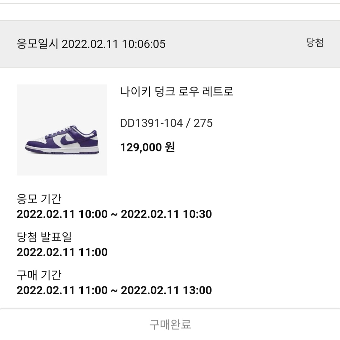 Nike Dunk Low Retro Championship Court Purple 착용 스타일