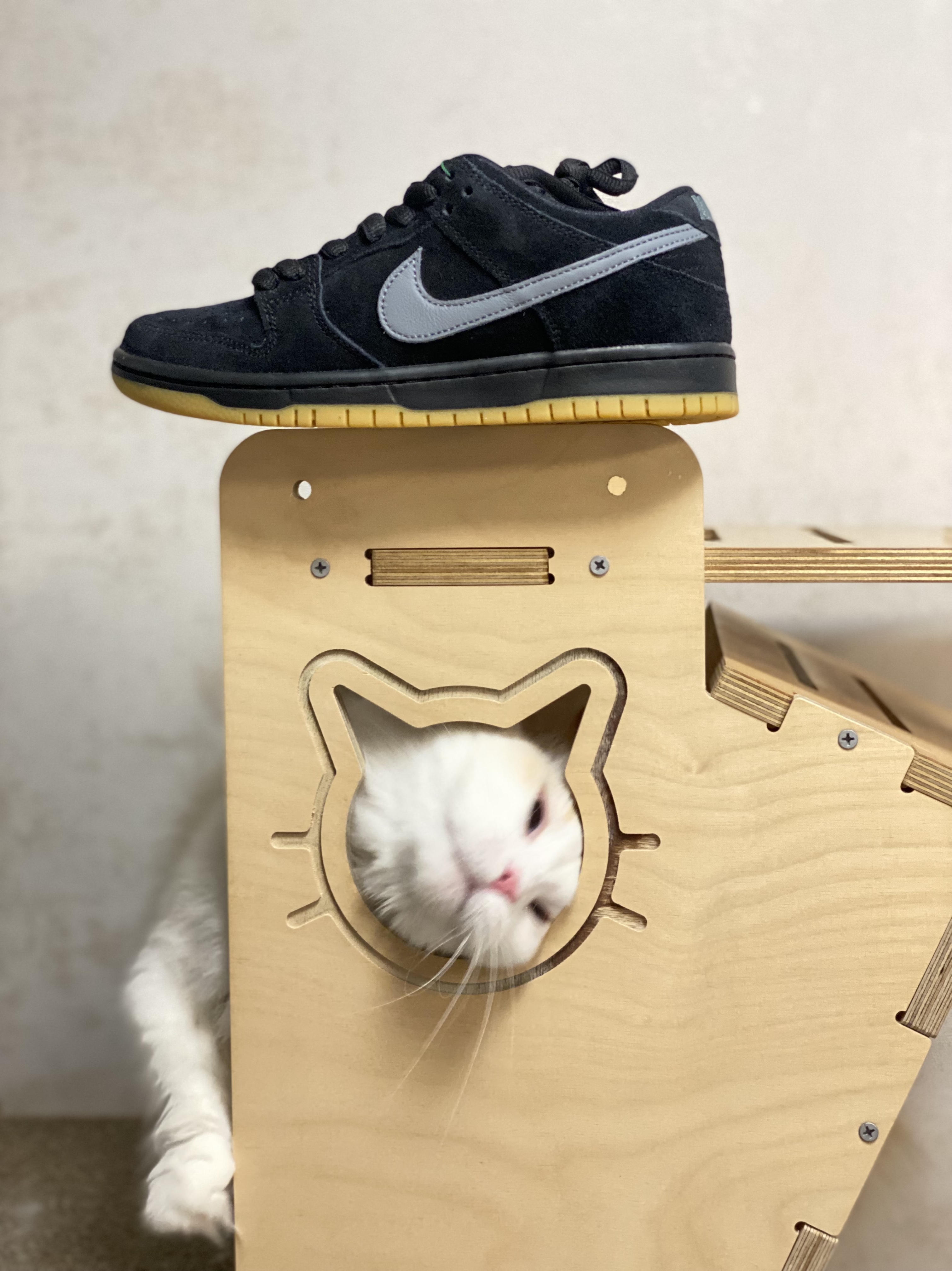 Nike SB Dunk Low Pro Black Cool Grey 착용 스타일