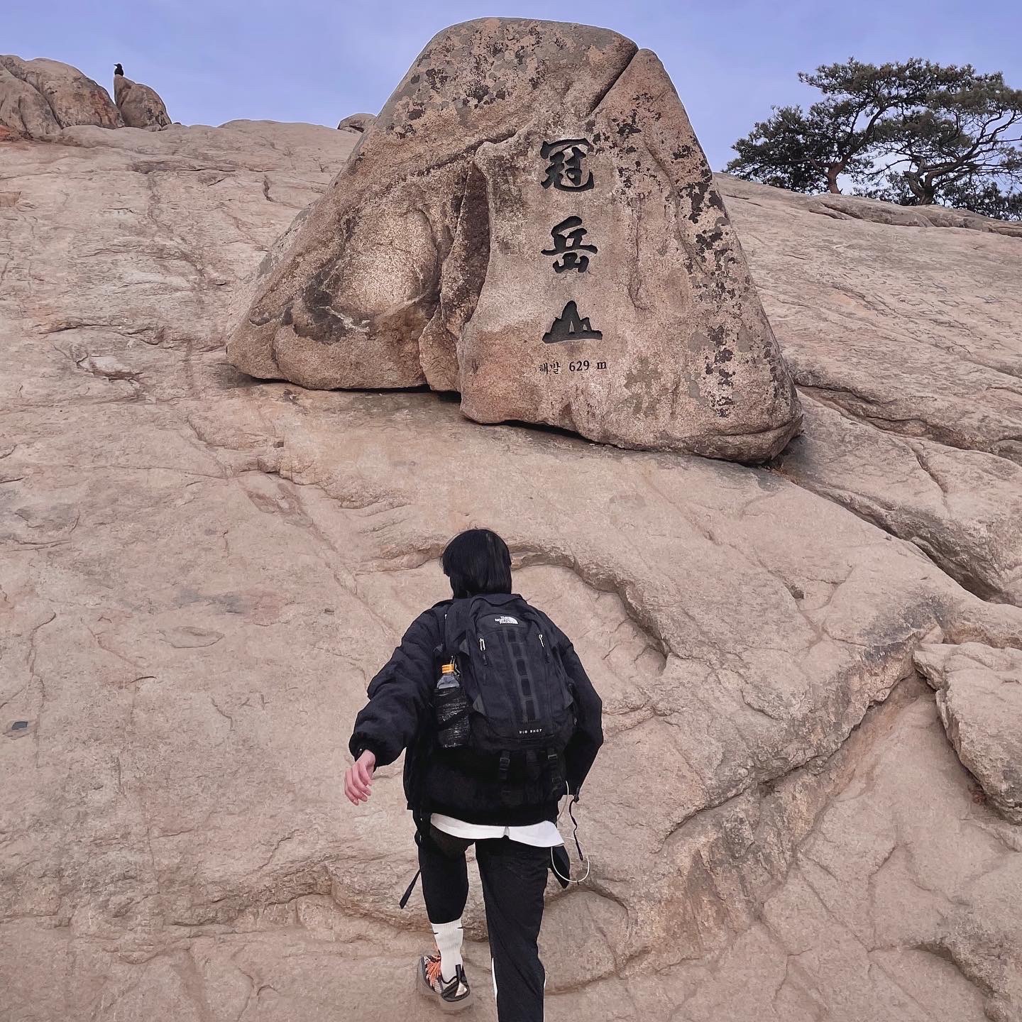 Nike ACG Mountain Fly Low Fossil Stone 착용 스타일 - 2