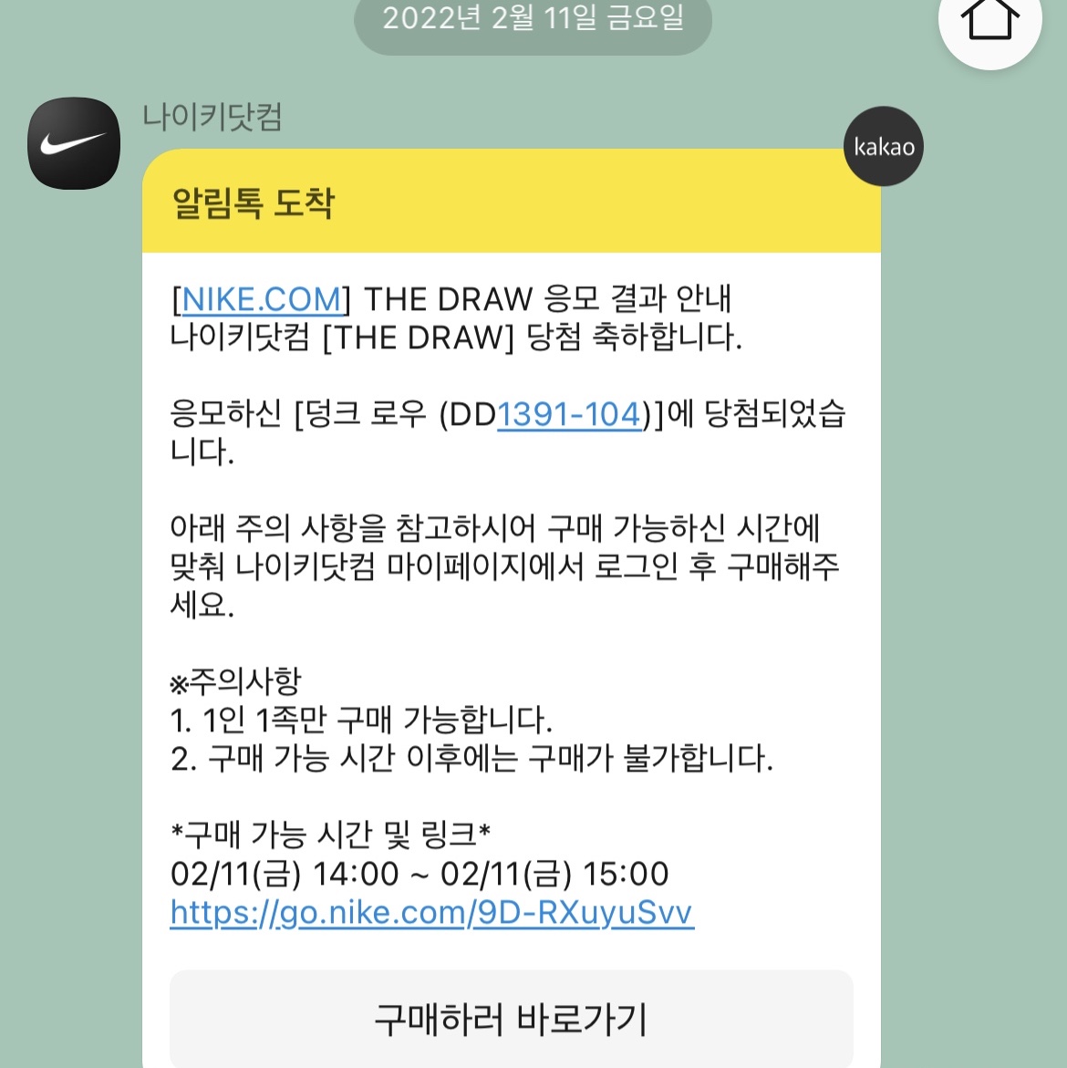 Nike Dunk Low Retro Championship Court Purple 착용 스타일