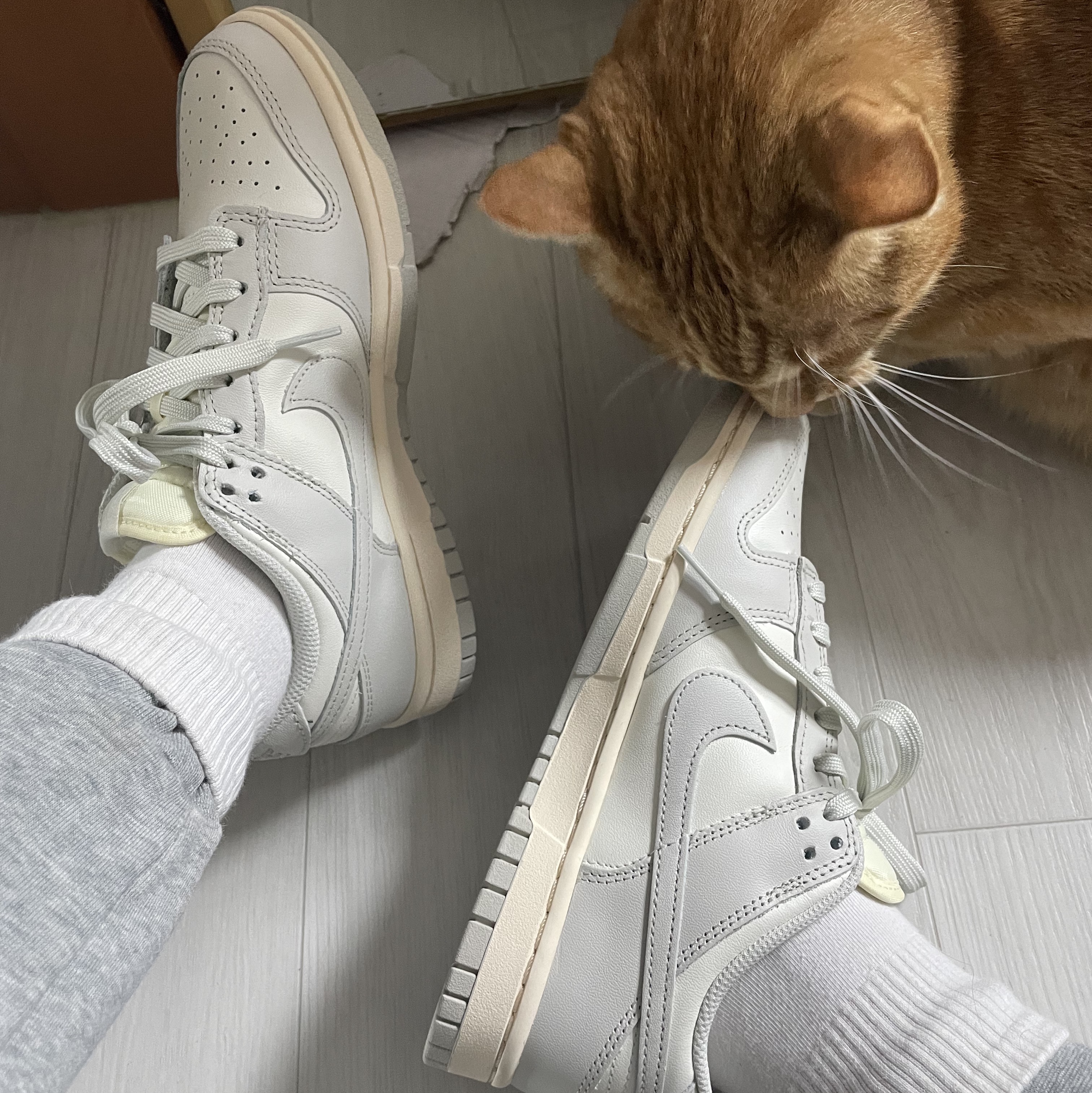 (W) Nike Dunk Low Light Bone 착용 스타일