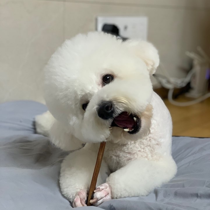 대박이님의 스타일