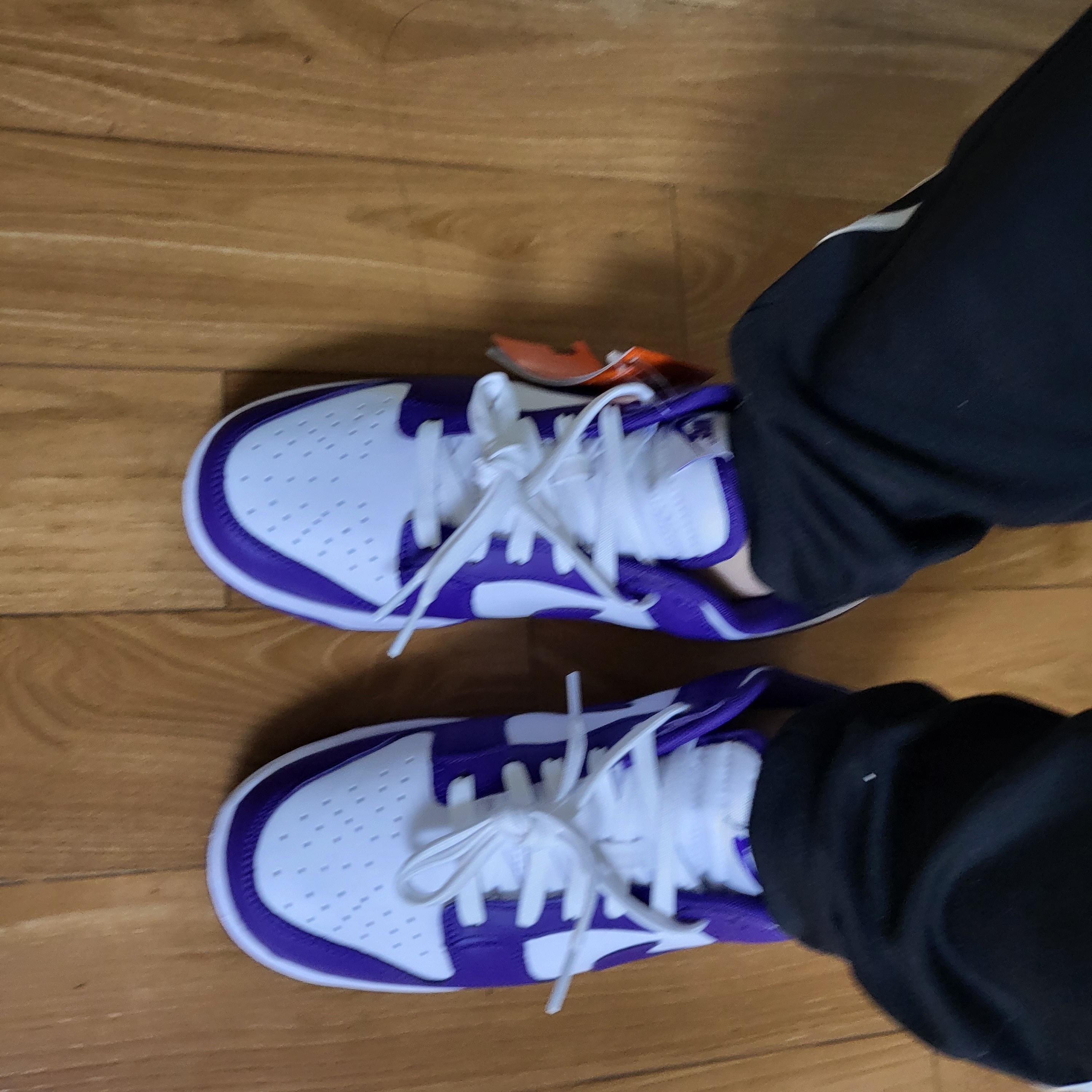 Nike Dunk Low Retro Championship Court Purple 착용 스타일 - 2