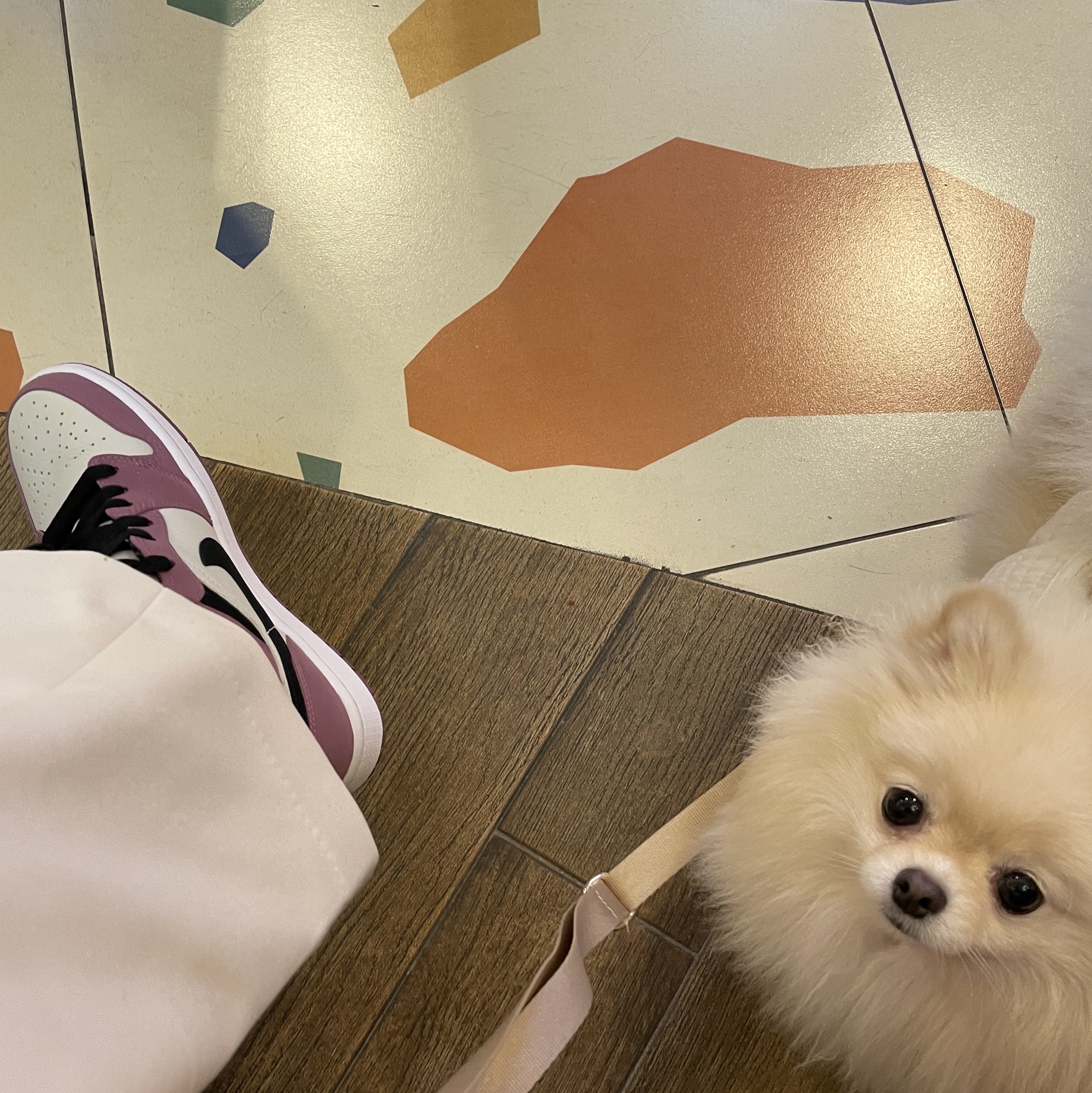 (W) Jordan 1 Mid SE Light Mulberry 착용 스타일 - 1