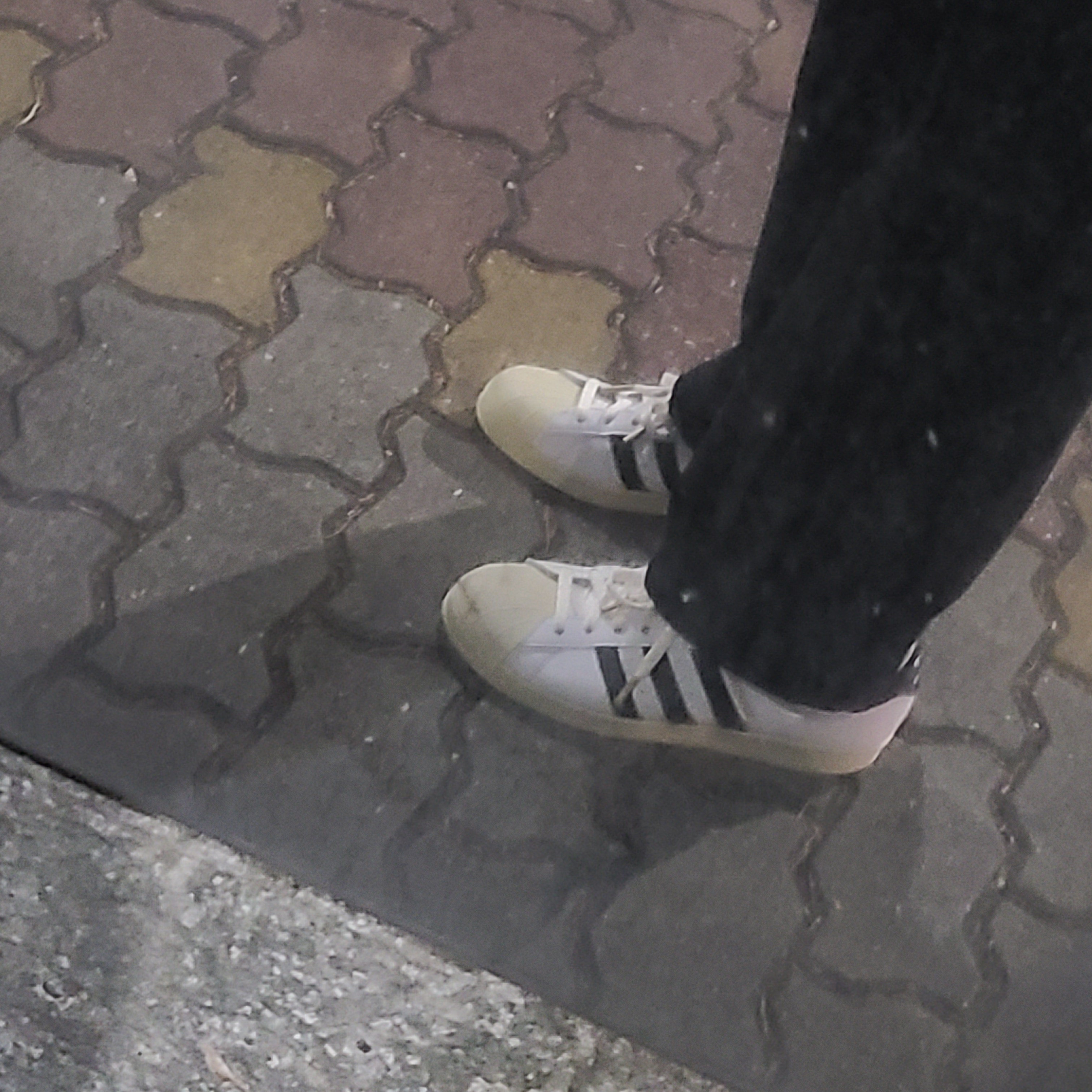 Adidas Superstar Premium White Black 착용 스타일