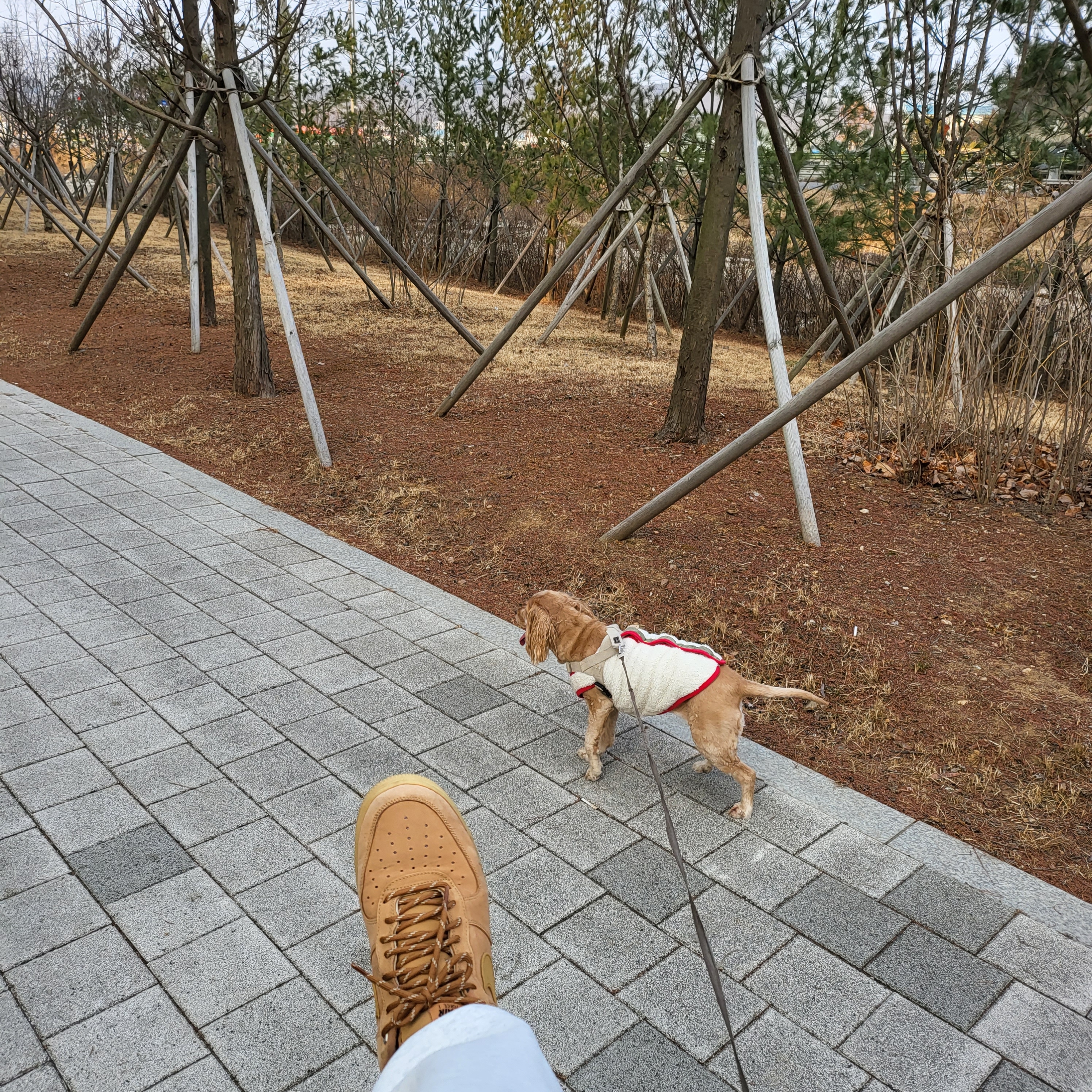 Nike Air Force 1 '07 WB Flax 착용 스타일 - 2