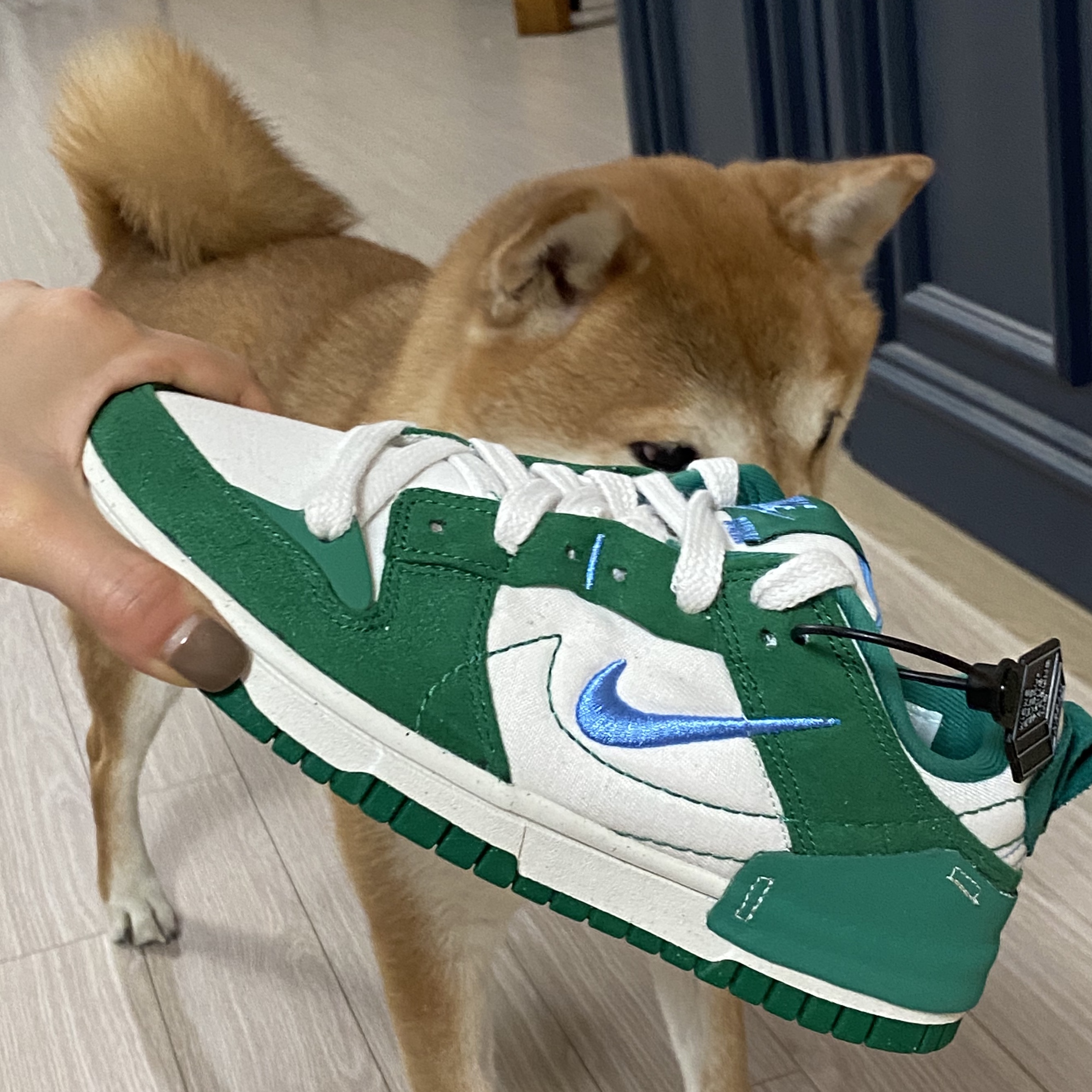 (W) Nike Dunk Low Disrupt 2 Phantom University Blue 착용 스타일 - 1