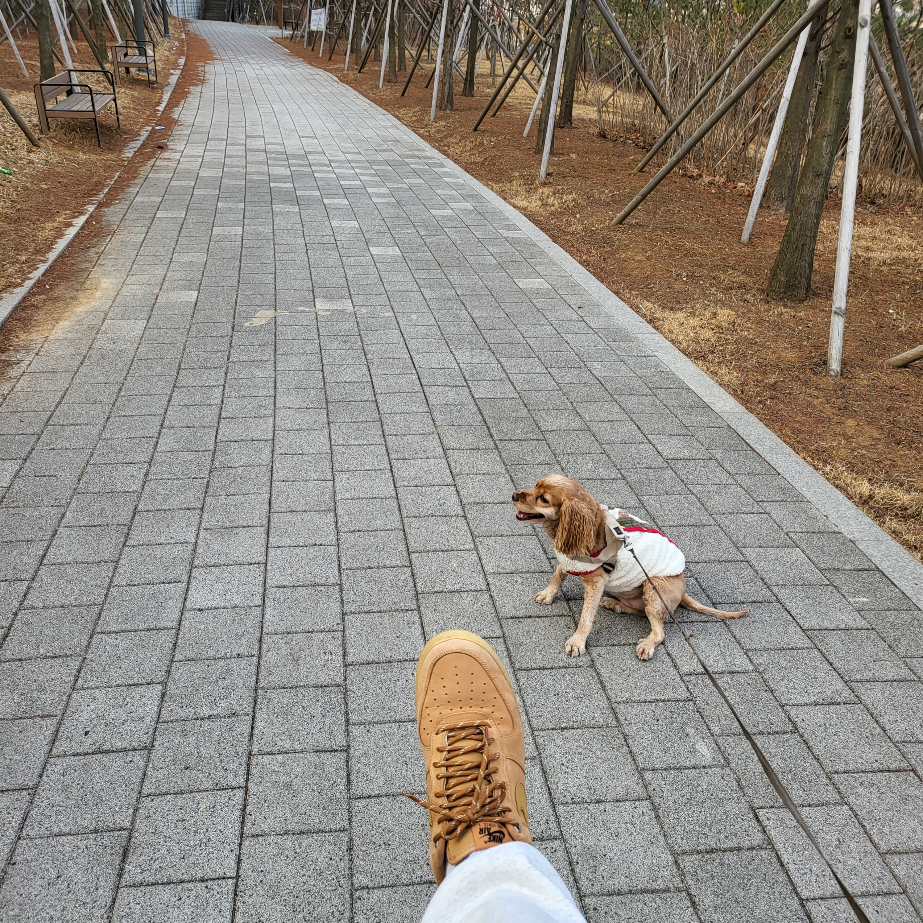 Nike Air Force 1 '07 WB Flax 착용 스타일 - 3