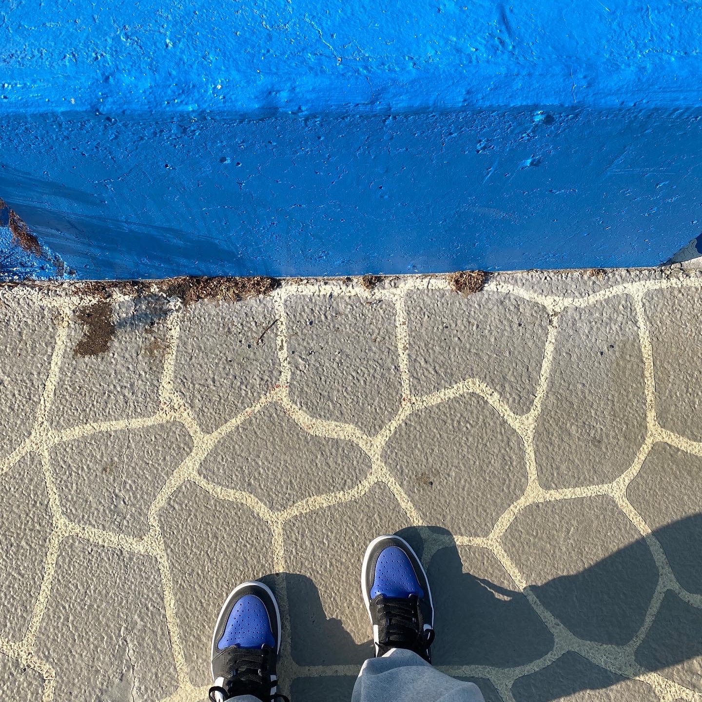 Jordan 1 Retro High OG Royal Toe 착용 스타일 - 1