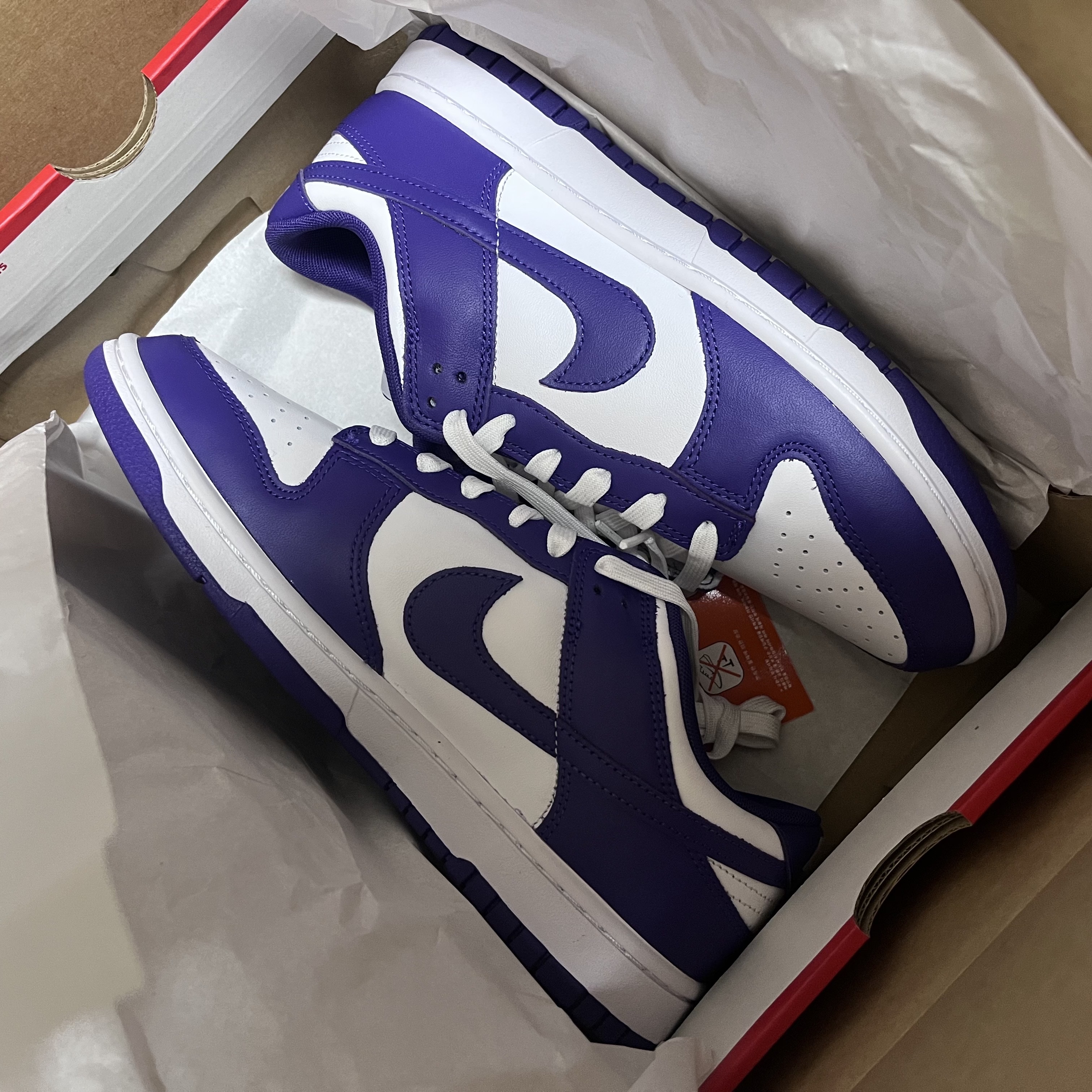 Nike Dunk Low Retro Championship Court Purple 착용 스타일 - 4