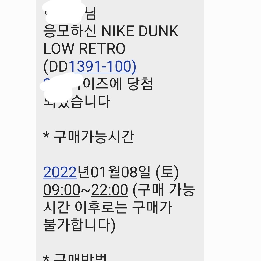 Nike Dunk Low Retro Championship Court Purple 착용 스타일