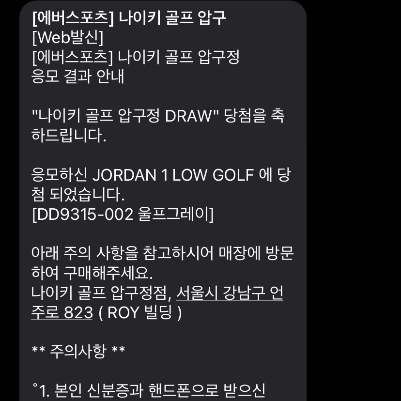 Jordan 1 Low Golf Wolf Grey 착용 스타일 - 2