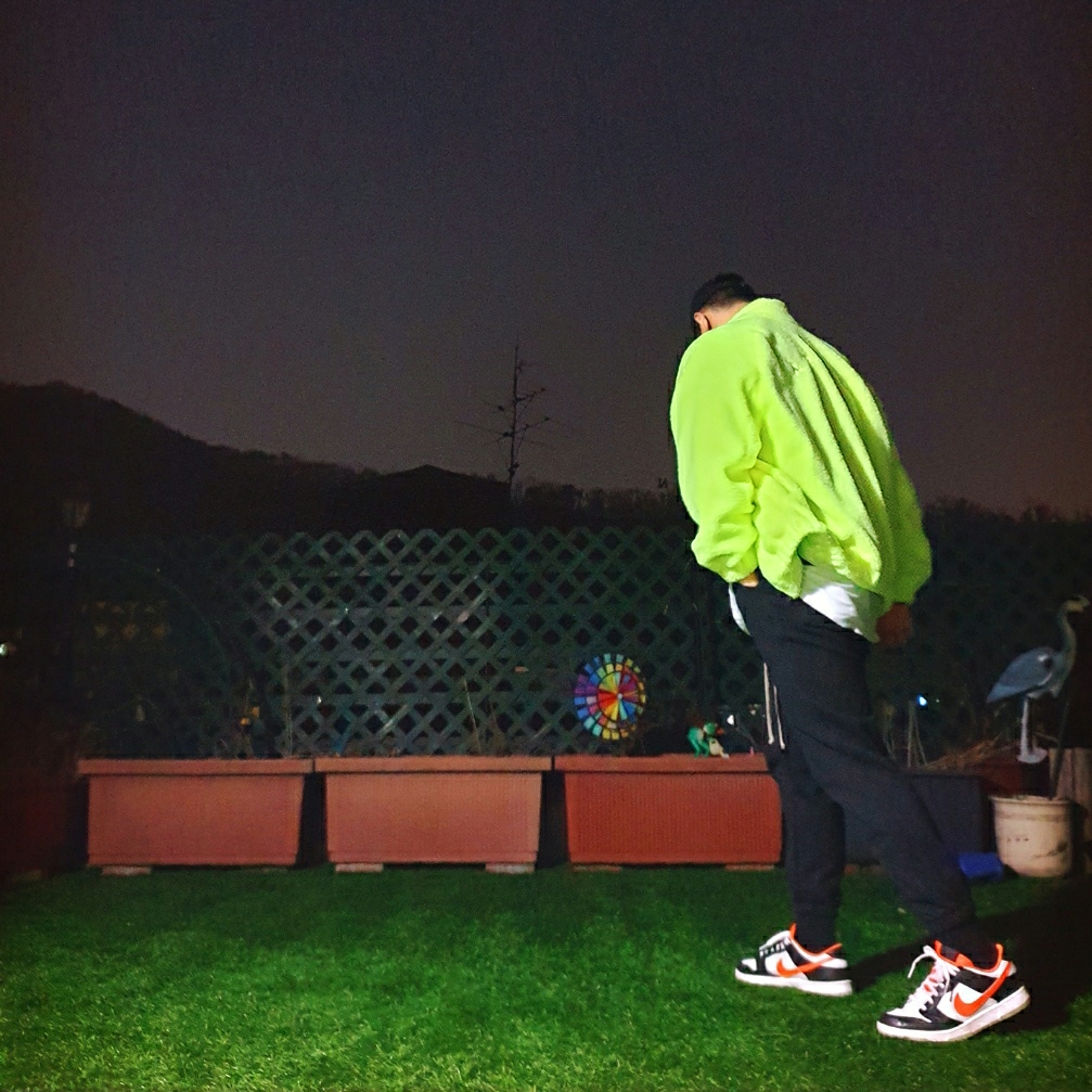 Nike Dunk Low Retro PRM Halloween 착용 스타일 - 2