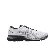 Asics Gel-Kayano 25 Glacier Grey