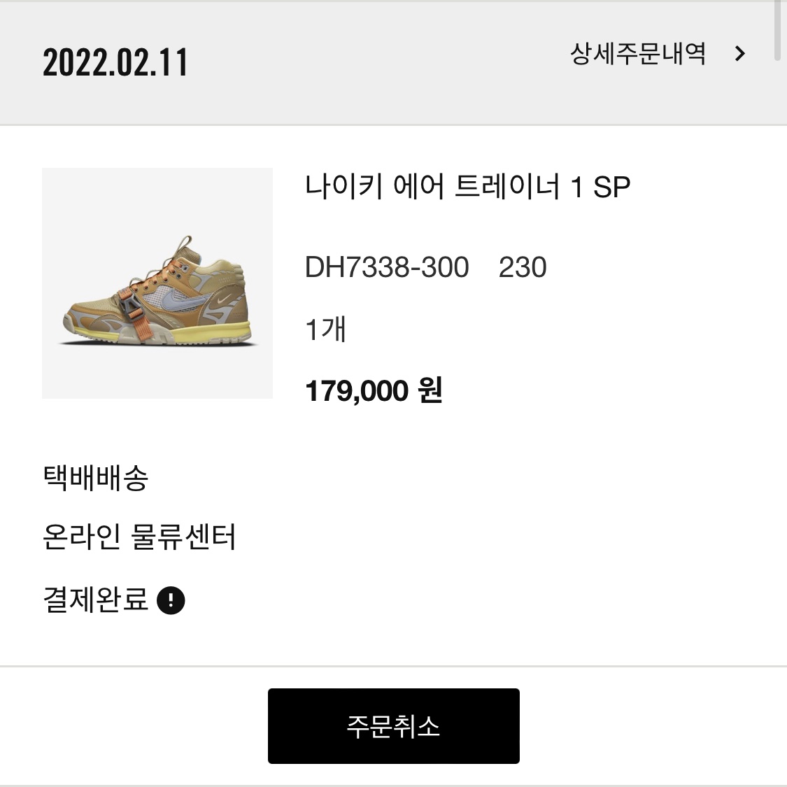 Nike Air Trainer 1 SP Coriander 착용 스타일 - 3