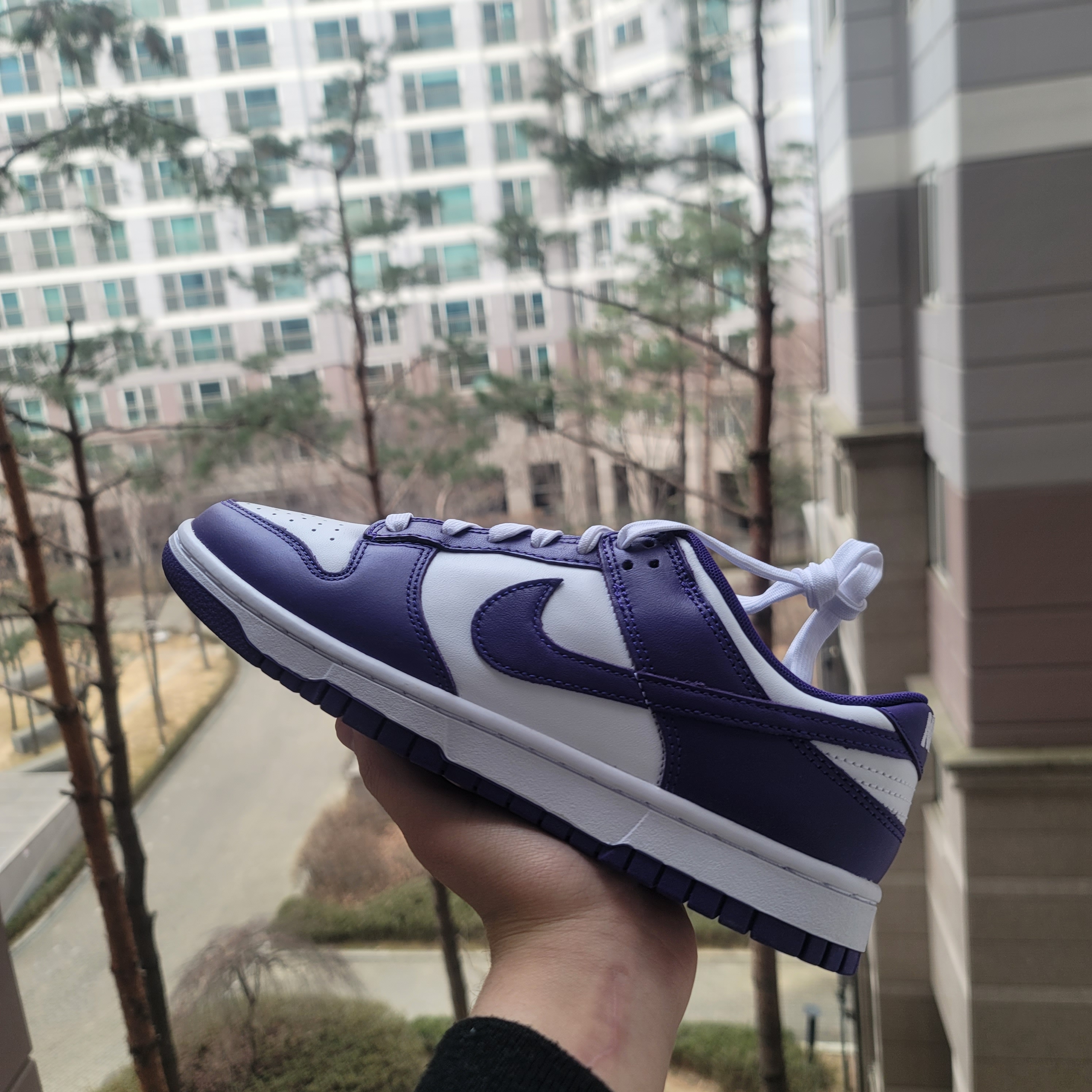 Nike Dunk Low Retro Championship Court Purple 착용 스타일