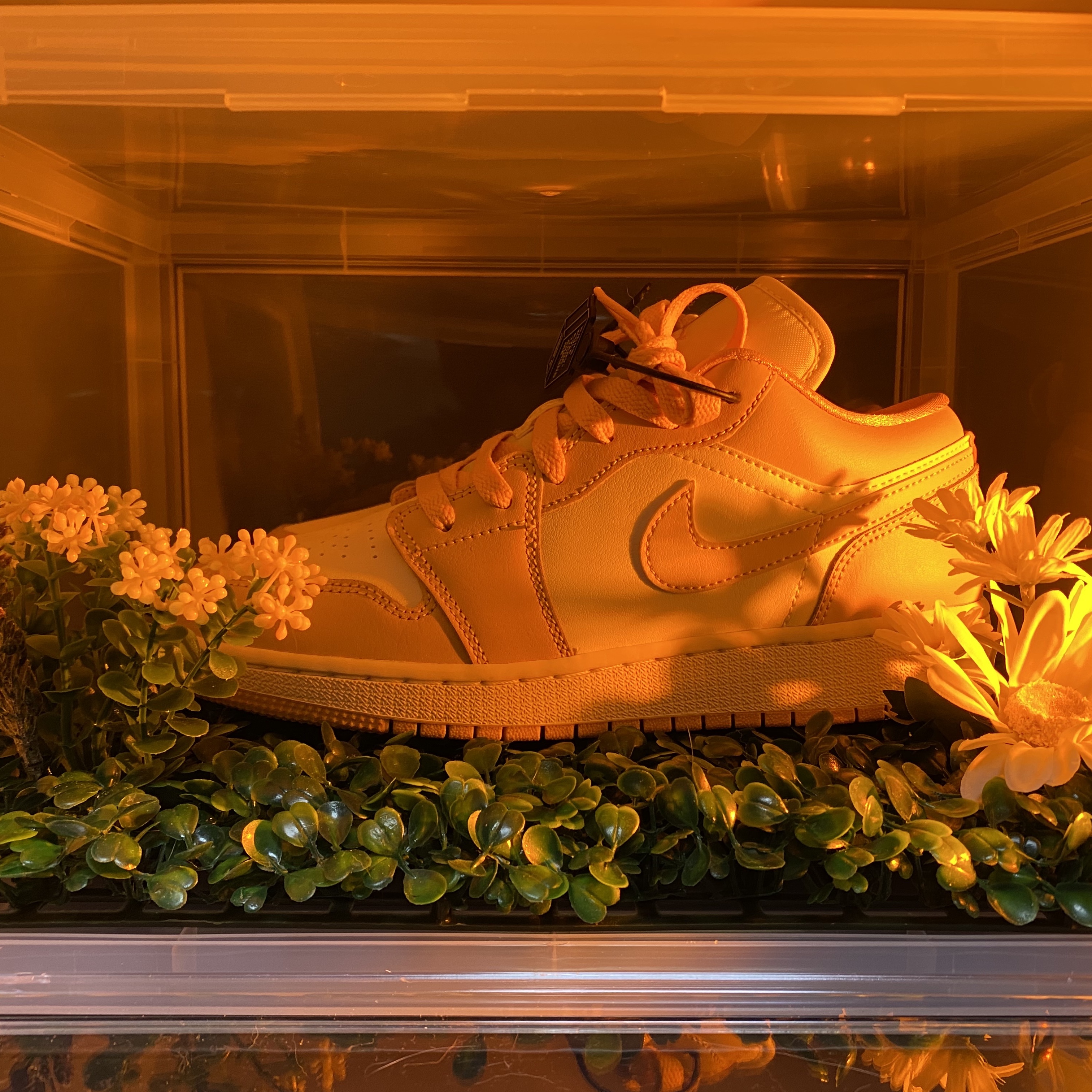 (GS) Jordan 1 Low Pollen, Jordan 1 Low Pollen 착용 스타일 - 1